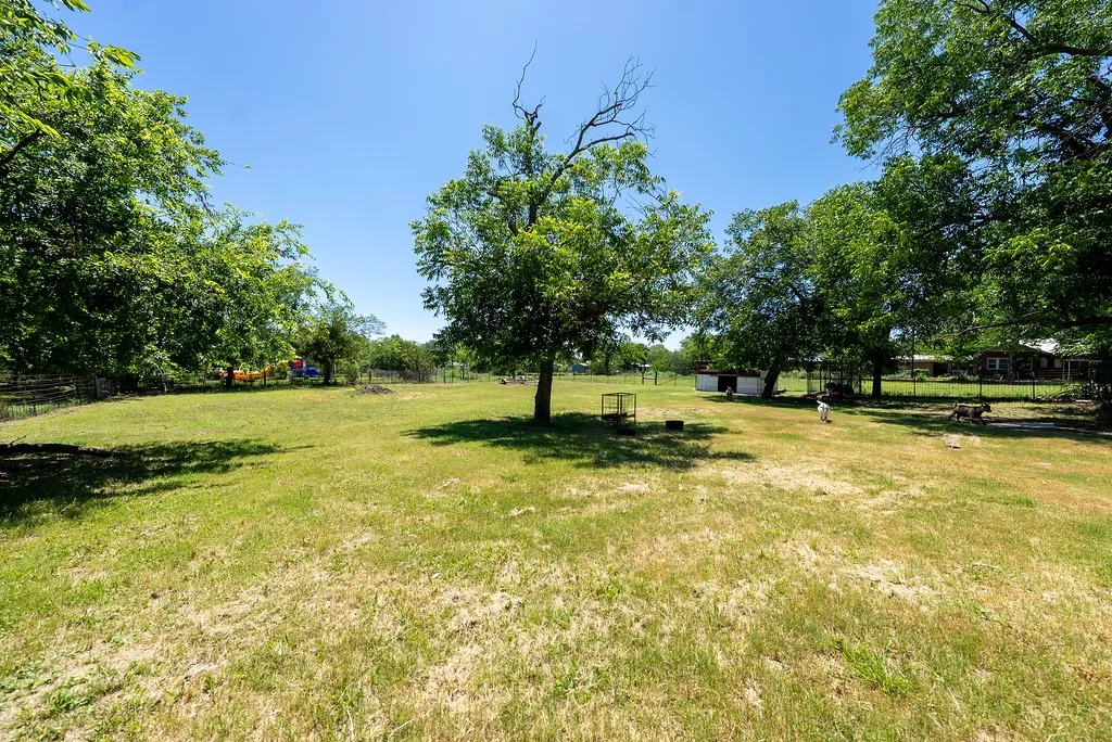 Expansive open grass area featuring numerous mature trees and a clear blue sky