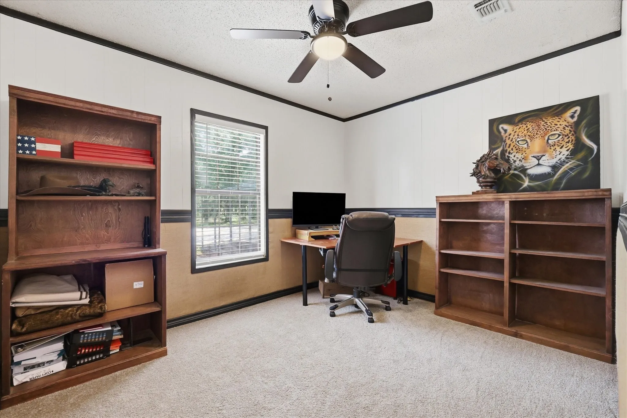 Carpeted room featuring a ceiling fan with light fixture, a window with horizontal blinds, and a two-tone wall treatment with dark trim