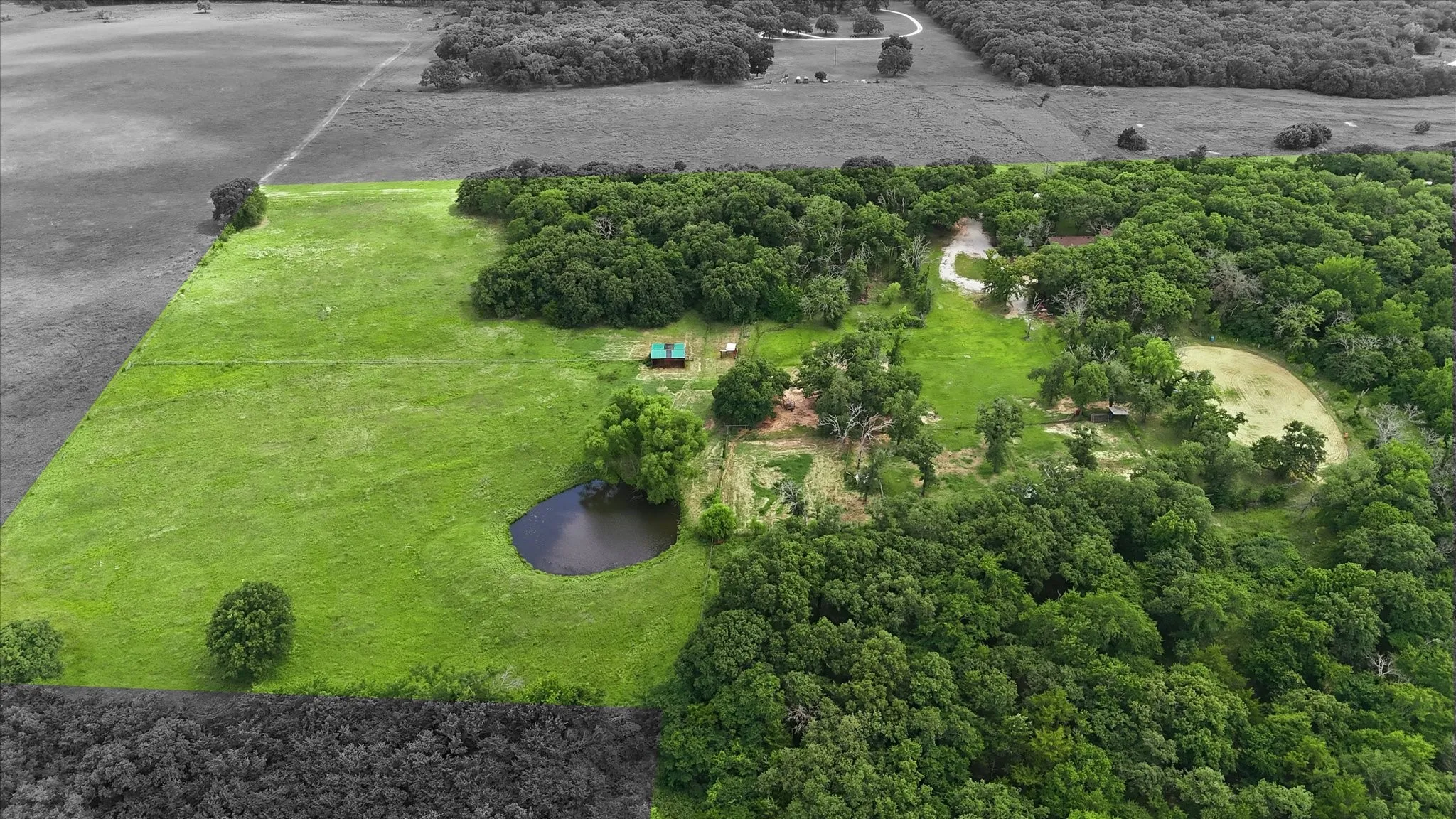 Expansive acreage featuring mature trees, open green spaces, and a pond