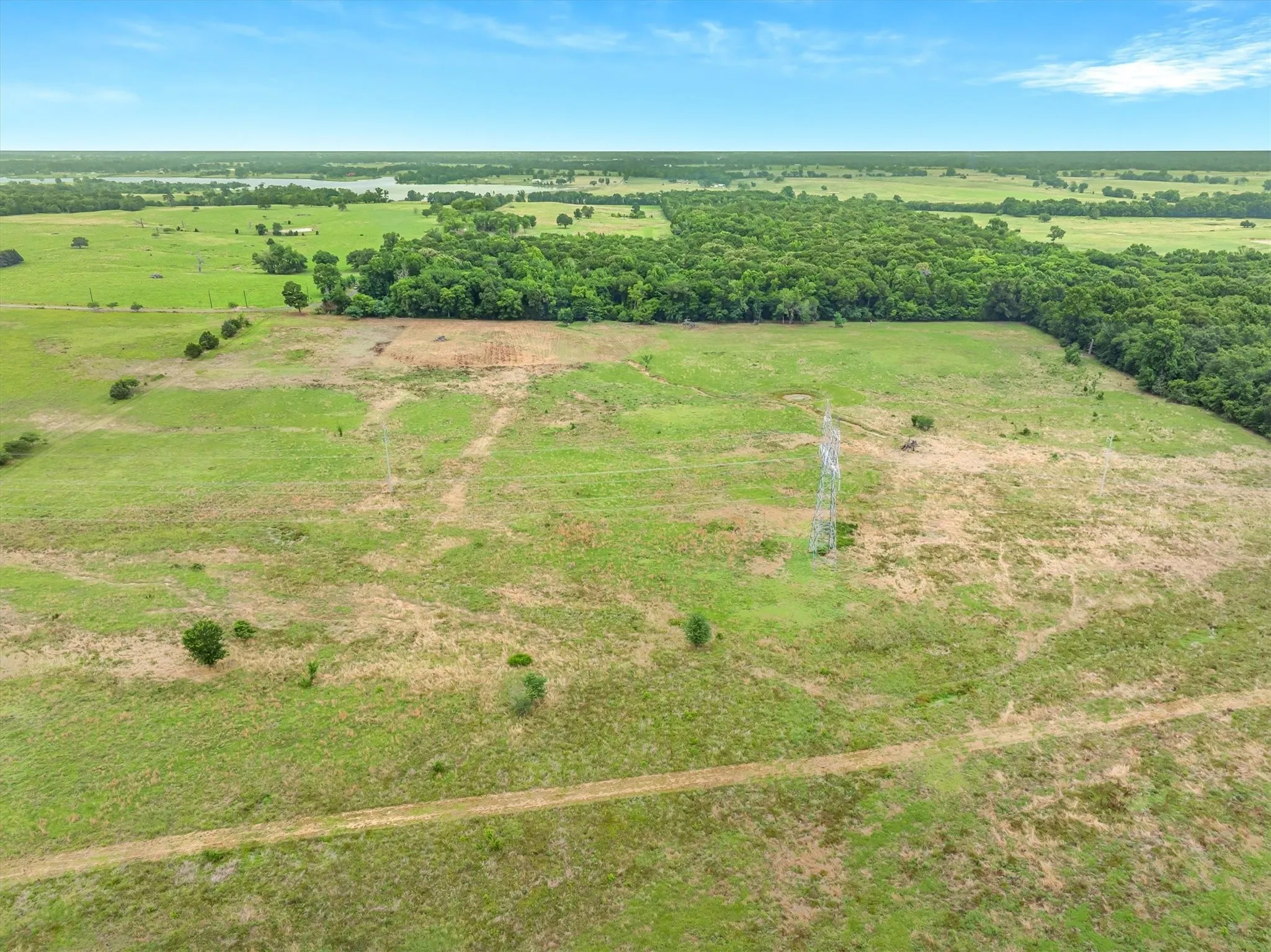 Unimproved Land For Sale in Van Zandt County , 40.72 Acres VZ County Road 4503, Ben Wheeler, Texas 75754, 0, 0, Garage spaces, 0 Sqft, built in 0, mls#21305733, Real Estate Agent in Ben Wheeler, Homes For Sale in Van Zandt county, Homes For Sale in Ben Wheeler, Realtor in Ben Wheeler Texas, Real Estate Brokerage Independent Realty Texas, Luminita Cordes Realtor