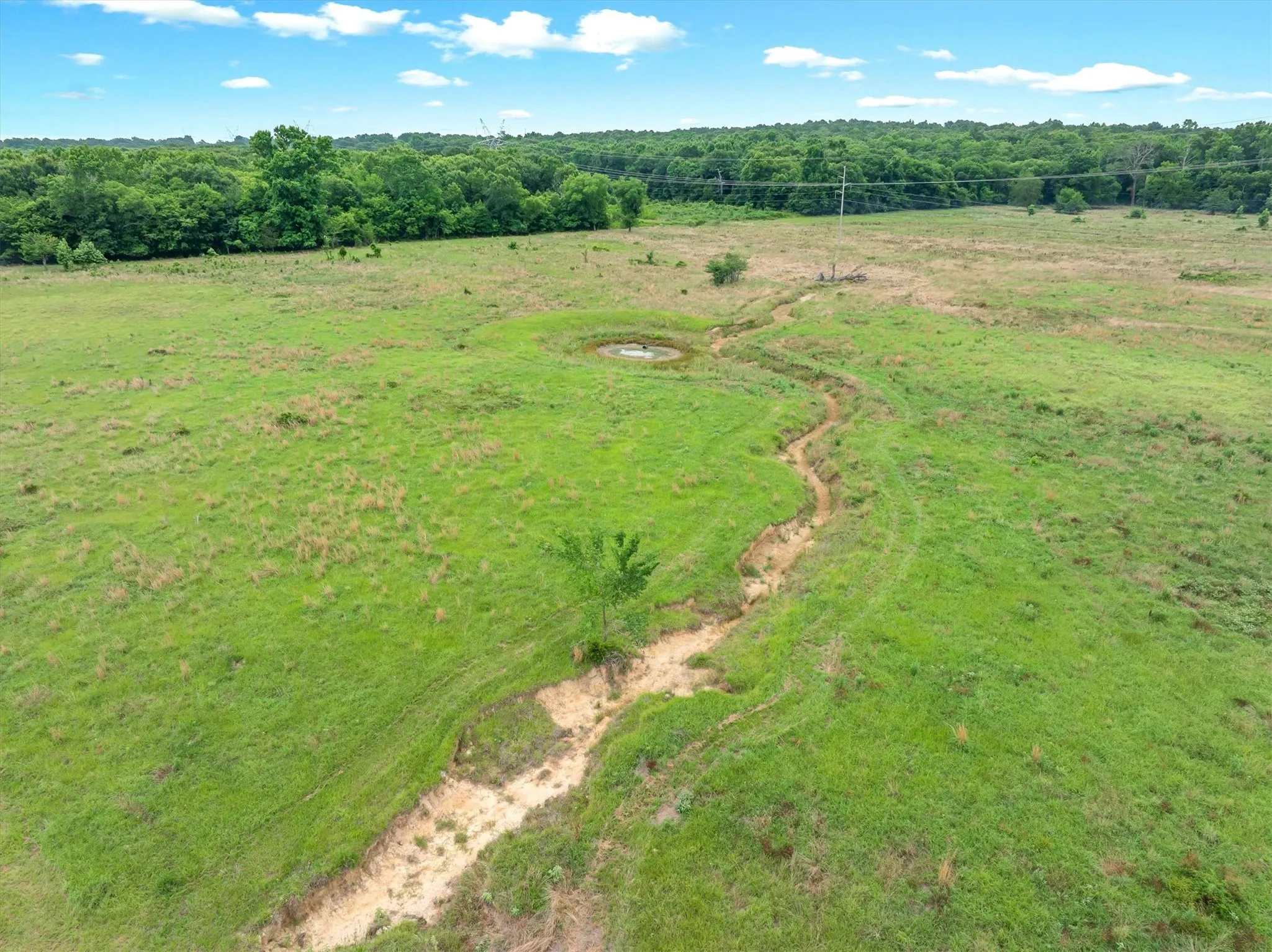 Unimproved Land For Sale in Van Zandt County , 40.72 Acres VZ County Road 4503, Ben Wheeler, Texas 75754, 0, 0, Garage spaces, 0 Sqft, built in 0, mls#21305733, Real Estate Agent in Ben Wheeler, Homes For Sale in Van Zandt county, Homes For Sale in Ben Wheeler, Realtor in Ben Wheeler Texas, Real Estate Brokerage Independent Realty Texas, Luminita Cordes Realtor