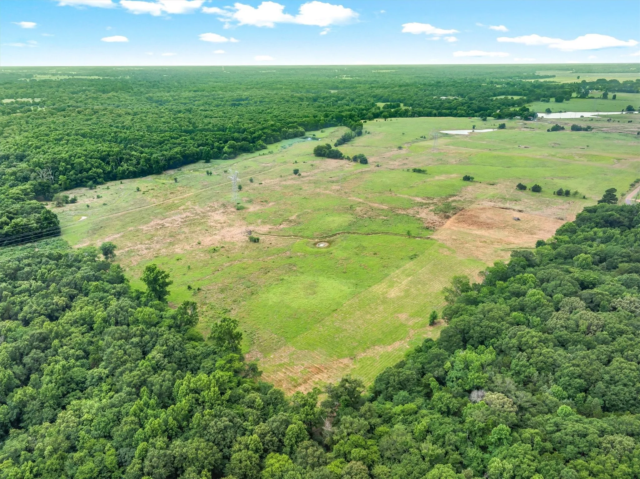 Unimproved Land For Sale in Van Zandt County , 40.72 Acres VZ County Road 4503, Ben Wheeler, Texas 75754, 0, 0, Garage spaces, 0 Sqft, built in 0, mls#21305733, Real Estate Agent in Ben Wheeler, Homes For Sale in Van Zandt county, Homes For Sale in Ben Wheeler, Realtor in Ben Wheeler Texas, Real Estate Brokerage Independent Realty Texas, Luminita Cordes Realtor
