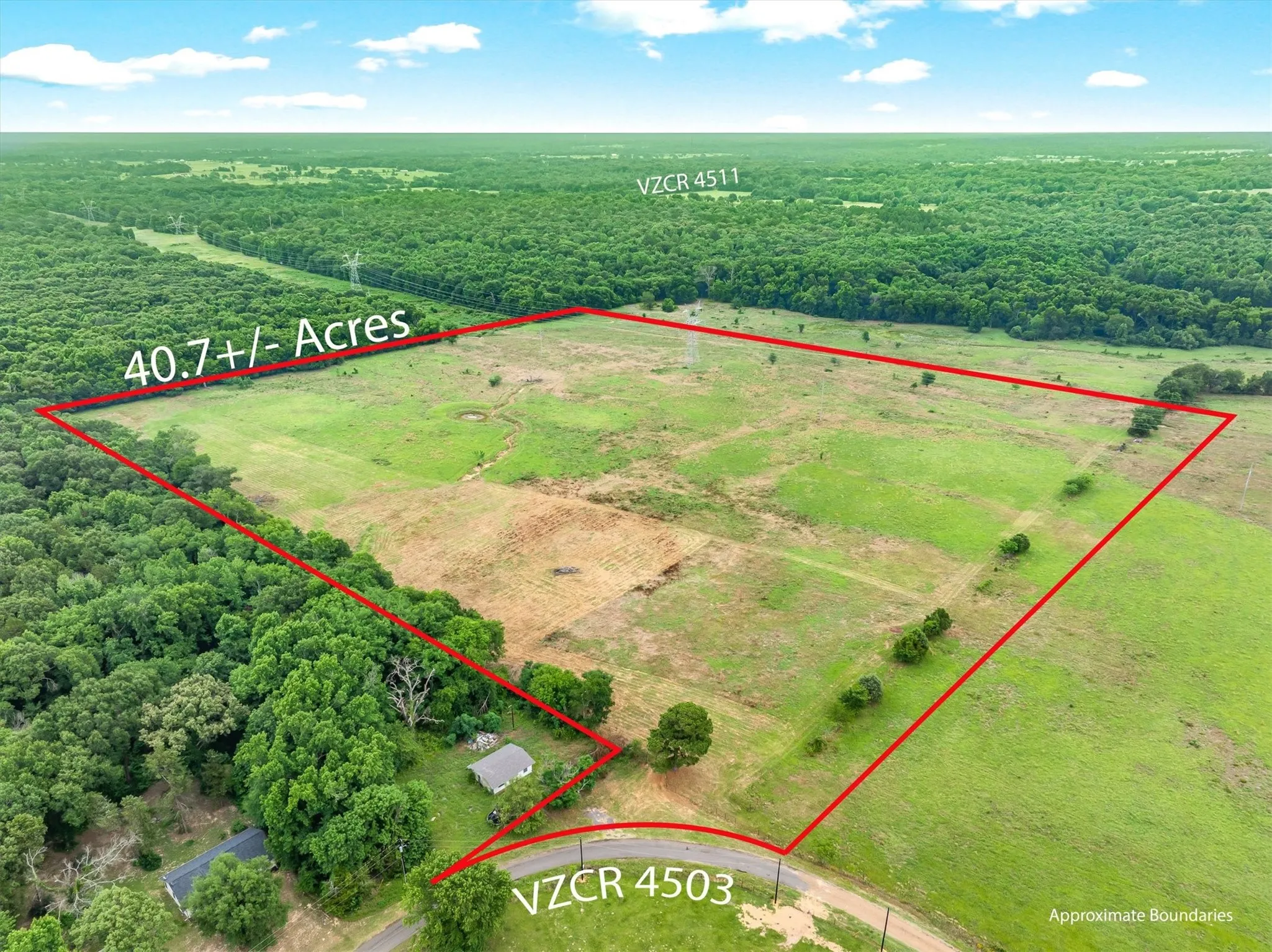 Unimproved Land For Sale in Van Zandt County , 40.72 Acres VZ County Road 4503, Ben Wheeler, Texas 75754, 0, 0, Garage spaces, 0 Sqft, built in 0, mls#21305733, Real Estate Agent in Ben Wheeler, Homes For Sale in Van Zandt county, Homes For Sale in Ben Wheeler, Realtor in Ben Wheeler Texas, Real Estate Brokerage Independent Realty Texas, Luminita Cordes Realtor