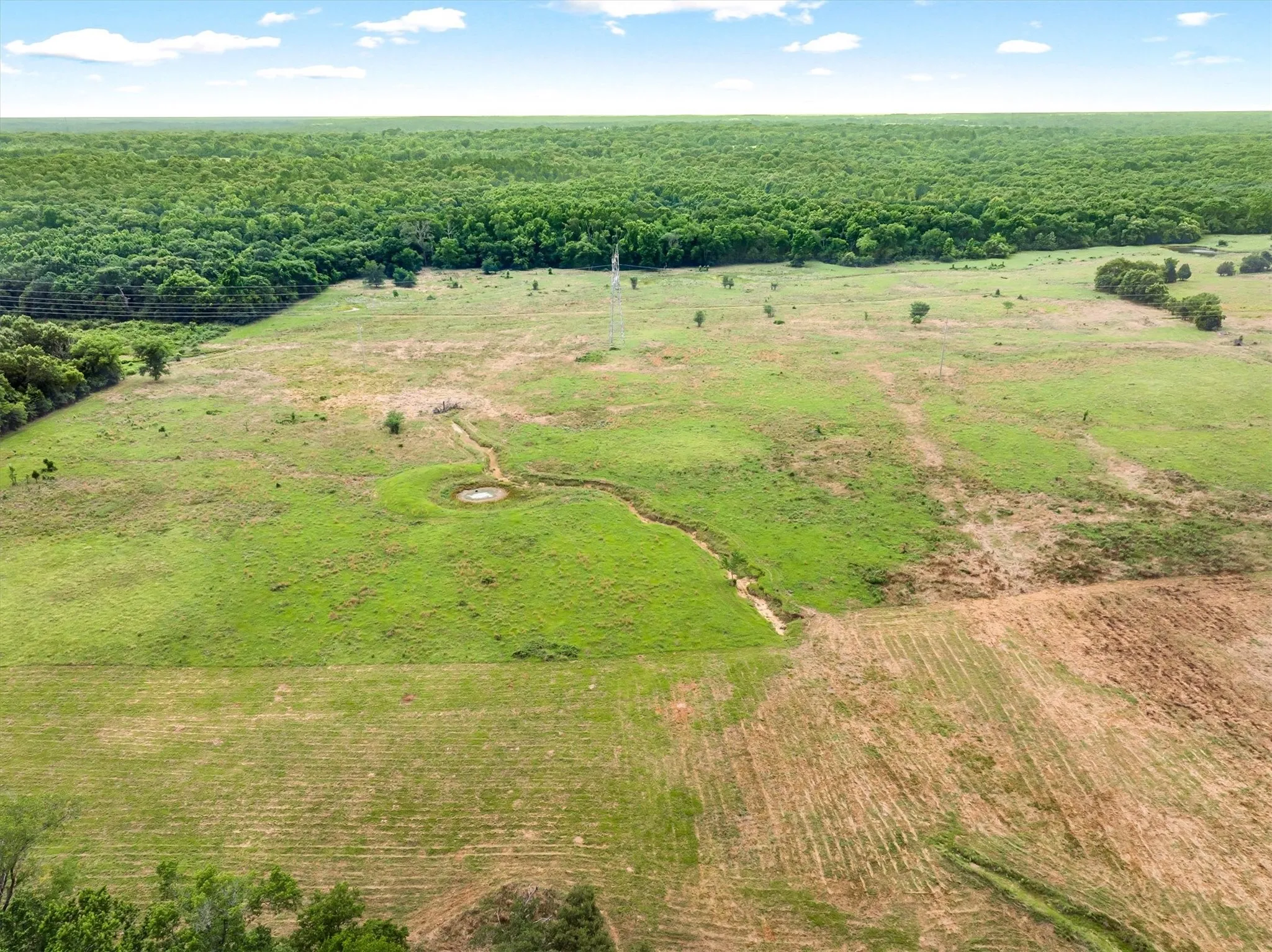 Unimproved Land For Sale in Van Zandt County , 40.72 Acres VZ County Road 4503, Ben Wheeler, Texas 75754, 0, 0, Garage spaces, 0 Sqft, built in 0, mls#21305733, Real Estate Agent in Ben Wheeler, Homes For Sale in Van Zandt county, Homes For Sale in Ben Wheeler, Realtor in Ben Wheeler Texas, Real Estate Brokerage Independent Realty Texas, Luminita Cordes Realtor