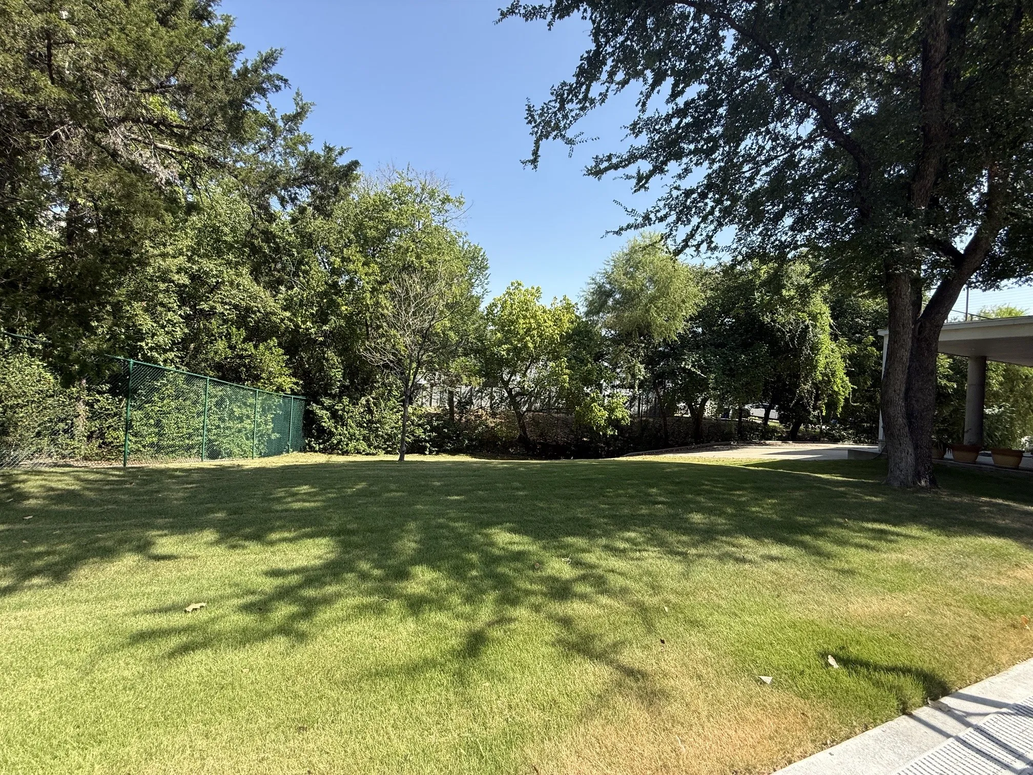 Expansive green lawn surrounded by mature trees, featuring a chain-link fence and a paved border