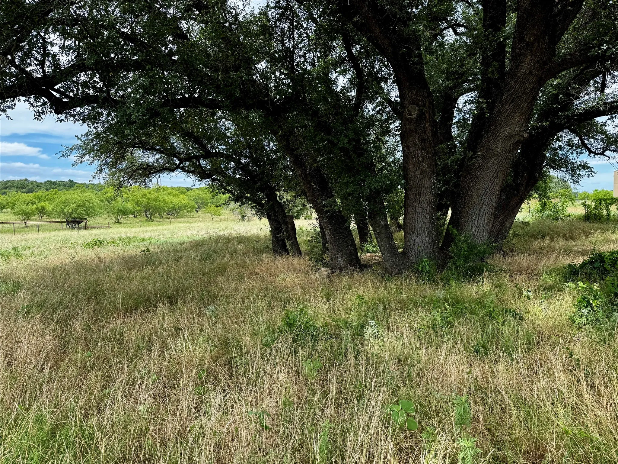 Unimproved Land For Sale in Palo Pinto County , T B D HAYES Road, Mineral Wells, Texas 76067, 0, 0, Garage spaces, 0 Sqft, built in 0, Price $181,500, mls#21307070, Real Estate Agent in Mineral Wells, Homes For Sale in Palo Pinto county, Homes For Sale in Mineral Wells, Realtor in Mineral Wells Texas, Real Estate Brokerage Independent Realty Texas, Luminita Cordes Realtor