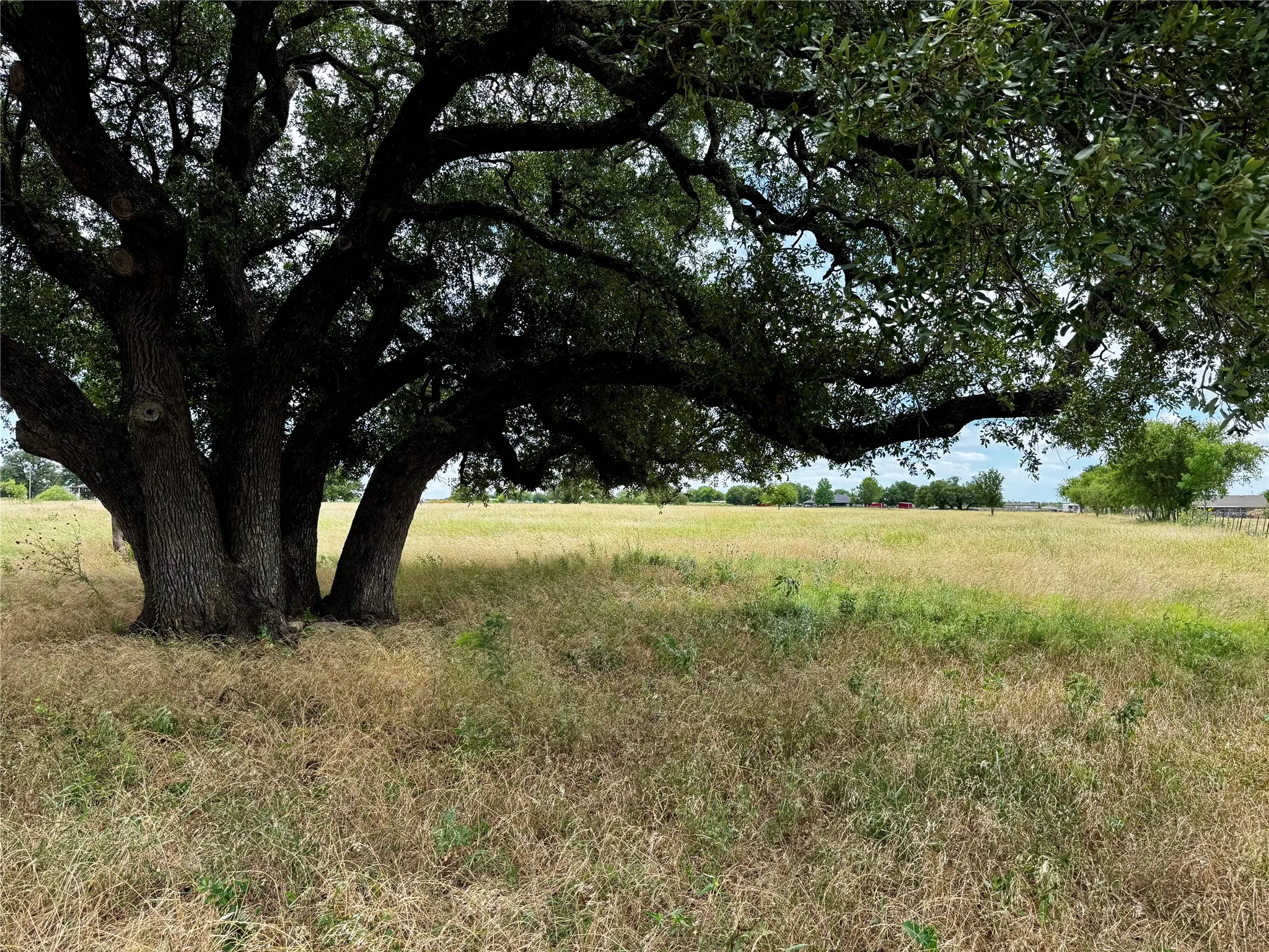 Unimproved Land For Sale in Palo Pinto County , T B D HAYES Road, Mineral Wells, Texas 76067, 0, 0, Garage spaces, 0 Sqft, built in 0, Price $181,500, mls#21307070, Real Estate Agent in Mineral Wells, Homes For Sale in Palo Pinto county, Homes For Sale in Mineral Wells, Realtor in Mineral Wells Texas, Real Estate Brokerage Independent Realty Texas, Luminita Cordes Realtor