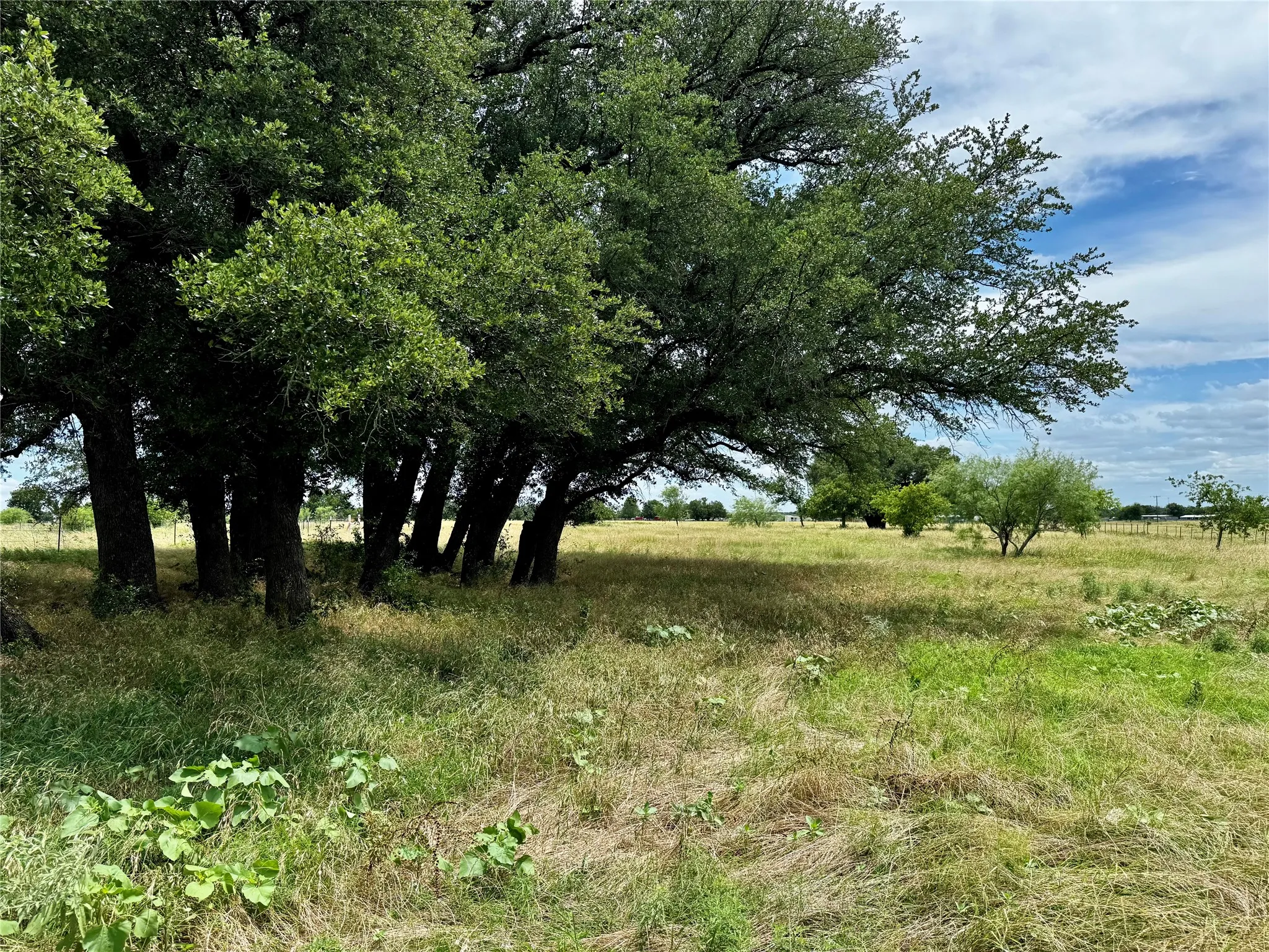 Unimproved Land For Sale in Palo Pinto County , T B D HAYES Road, Mineral Wells, Texas 76067, 0, 0, Garage spaces, 0 Sqft, built in 0, Price $181,500, mls#21307070, Real Estate Agent in Mineral Wells, Homes For Sale in Palo Pinto county, Homes For Sale in Mineral Wells, Realtor in Mineral Wells Texas, Real Estate Brokerage Independent Realty Texas, Luminita Cordes Realtor