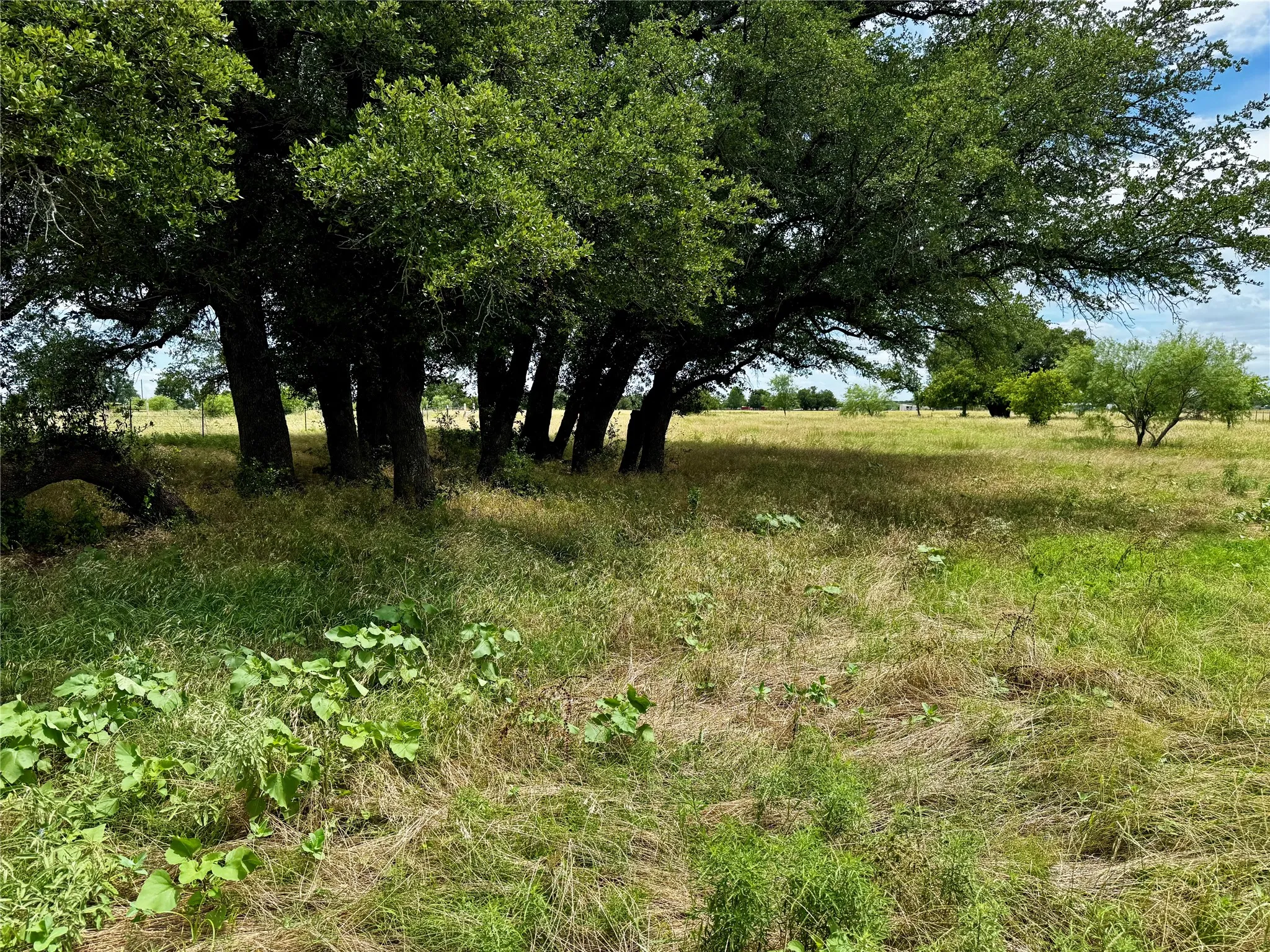 Unimproved Land For Sale in Palo Pinto County , T B D HAYES Road, Mineral Wells, Texas 76067, 0, 0, Garage spaces, 0 Sqft, built in 0, Price $181,500, mls#21307070, Real Estate Agent in Mineral Wells, Homes For Sale in Palo Pinto county, Homes For Sale in Mineral Wells, Realtor in Mineral Wells Texas, Real Estate Brokerage Independent Realty Texas, Luminita Cordes Realtor