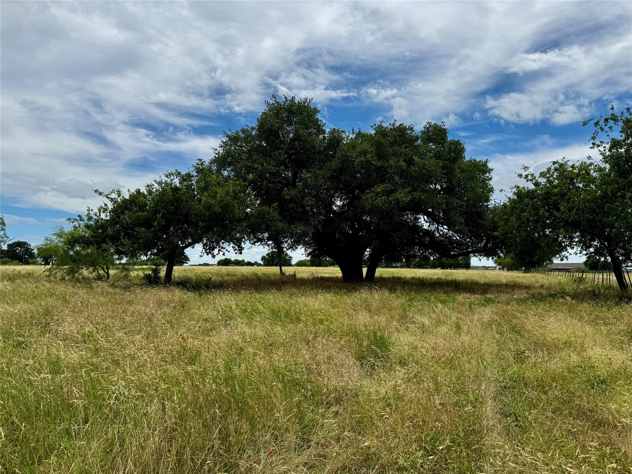 Unimproved Land For Sale in Palo Pinto County , T B D HAYES Road, Mineral Wells, Texas 76067, 0, 0, Garage spaces, 0 Sqft, built in 0, Price $181,500, mls#21307070, Real Estate Agent in Mineral Wells, Homes For Sale in Palo Pinto county, Homes For Sale in Mineral Wells, Realtor in Mineral Wells Texas, Real Estate Brokerage Independent Realty Texas, Luminita Cordes Realtor