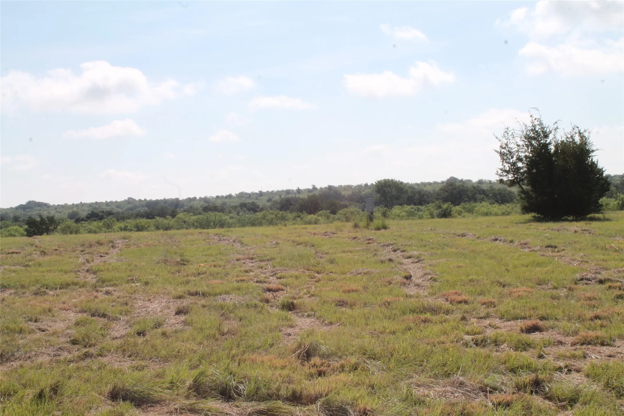 Unimproved Land For Sale in Comanche County , 688 Comanche Lake Road, Comanche, Texas 76442, 0, 0, Garage spaces, 0 Sqft, built in 0, mls#21307082, Real Estate Agent in Comanche, Homes For Sale in Comanche county, Homes For Sale in Comanche, Realtor in Comanche Texas, Real Estate Brokerage Independent Realty Texas, Luminita Cordes Realtor