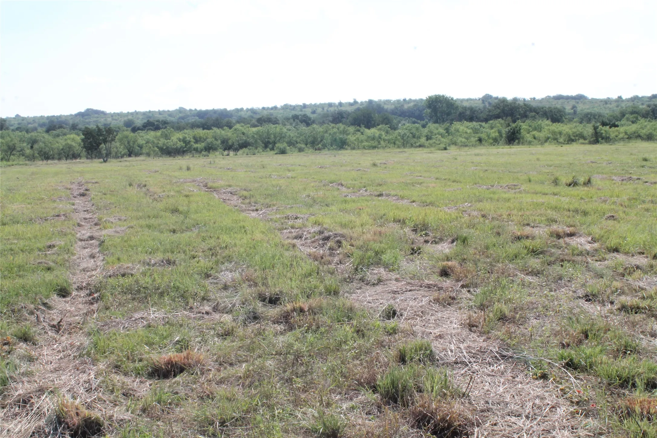 Unimproved Land For Sale in Comanche County , 688 Comanche Lake Road, Comanche, Texas 76442, 0, 0, Garage spaces, 0 Sqft, built in 0, mls#21307082, Real Estate Agent in Comanche, Homes For Sale in Comanche county, Homes For Sale in Comanche, Realtor in Comanche Texas, Real Estate Brokerage Independent Realty Texas, Luminita Cordes Realtor