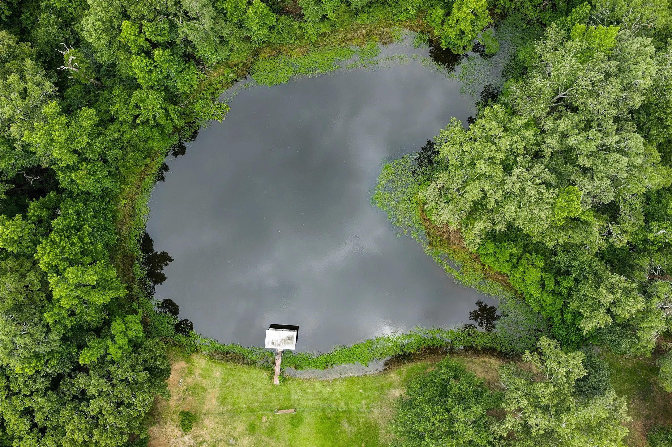 Farm For Sale in Shelby County , 4358 Fm 947, Timpson, Texas 75975, 2 Bedroom, 2 Bathroom, 2 Garage spaces, 1,778 Sqft, built in 1979, mls#21300239, Real Estate Agent in Timpson, Homes For Sale in Shelby county, Homes For Sale in Timpson, Realtor in Timpson Texas, Real Estate Brokerage Independent Realty Texas, Luminita Cordes Realtor