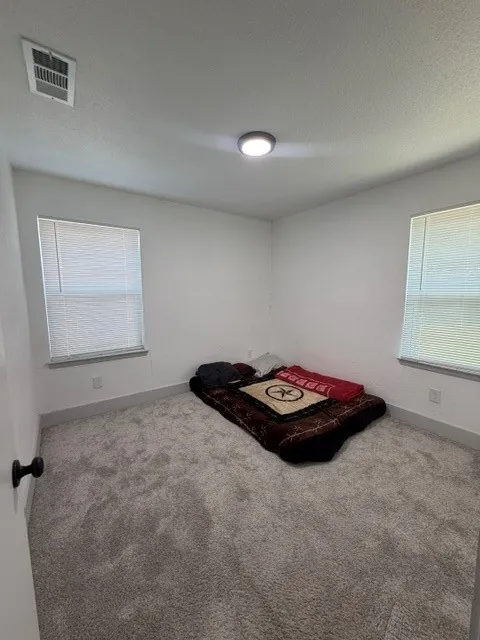 Room featuring light gray carpet, white walls, two windows with blinds, a ceiling-mounted light fixture, and a wall vent