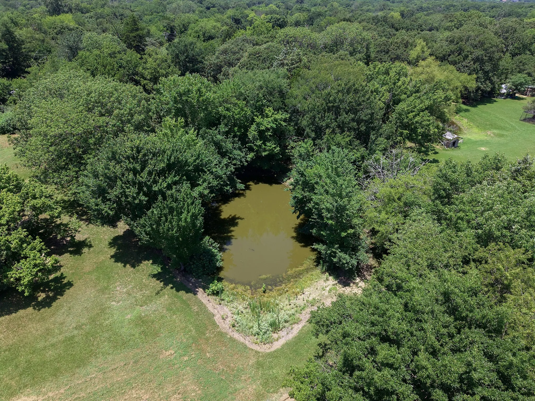 Private pond surrounded by mature deciduous trees and lush green landscaping