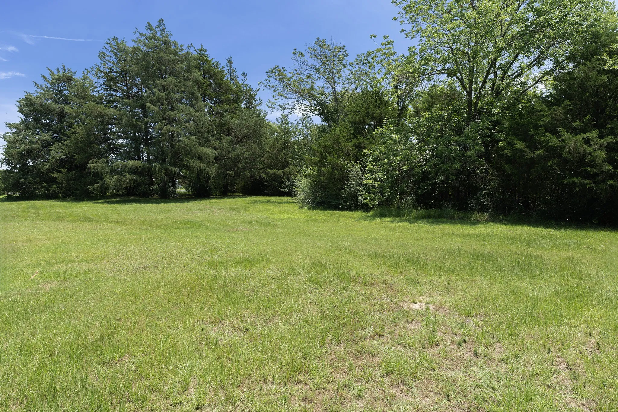 Expansive green lawn surrounded by mature trees and natural foliage