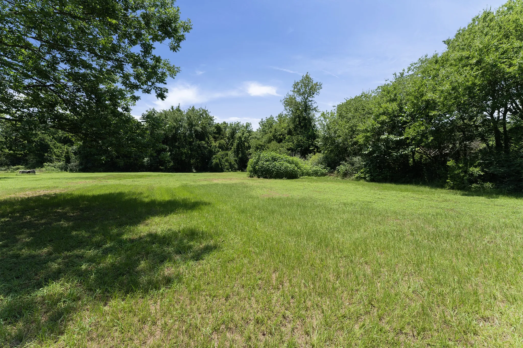 Expansive grassy area surrounded by mature trees and natural foliage