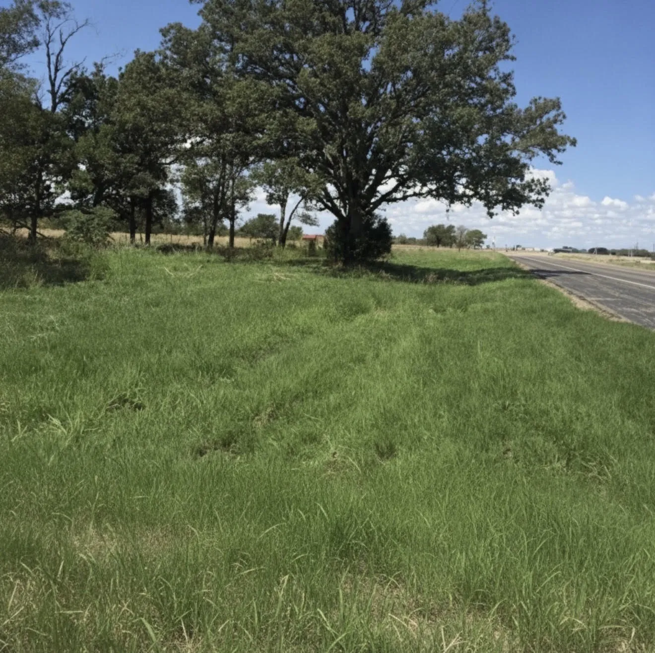 Unimproved Land For Sale in Henderson County , TBD US HWY 175, Mabank, Texas 75147, 0, 0, Garage spaces, 0 Sqft, built in 0, mls#21279960, Real Estate Agent in Mabank, Homes For Sale in Henderson county, Homes For Sale in Mabank, Realtor in Mabank Texas, Real Estate Brokerage Independent Realty Texas, Luminita Cordes Realtor