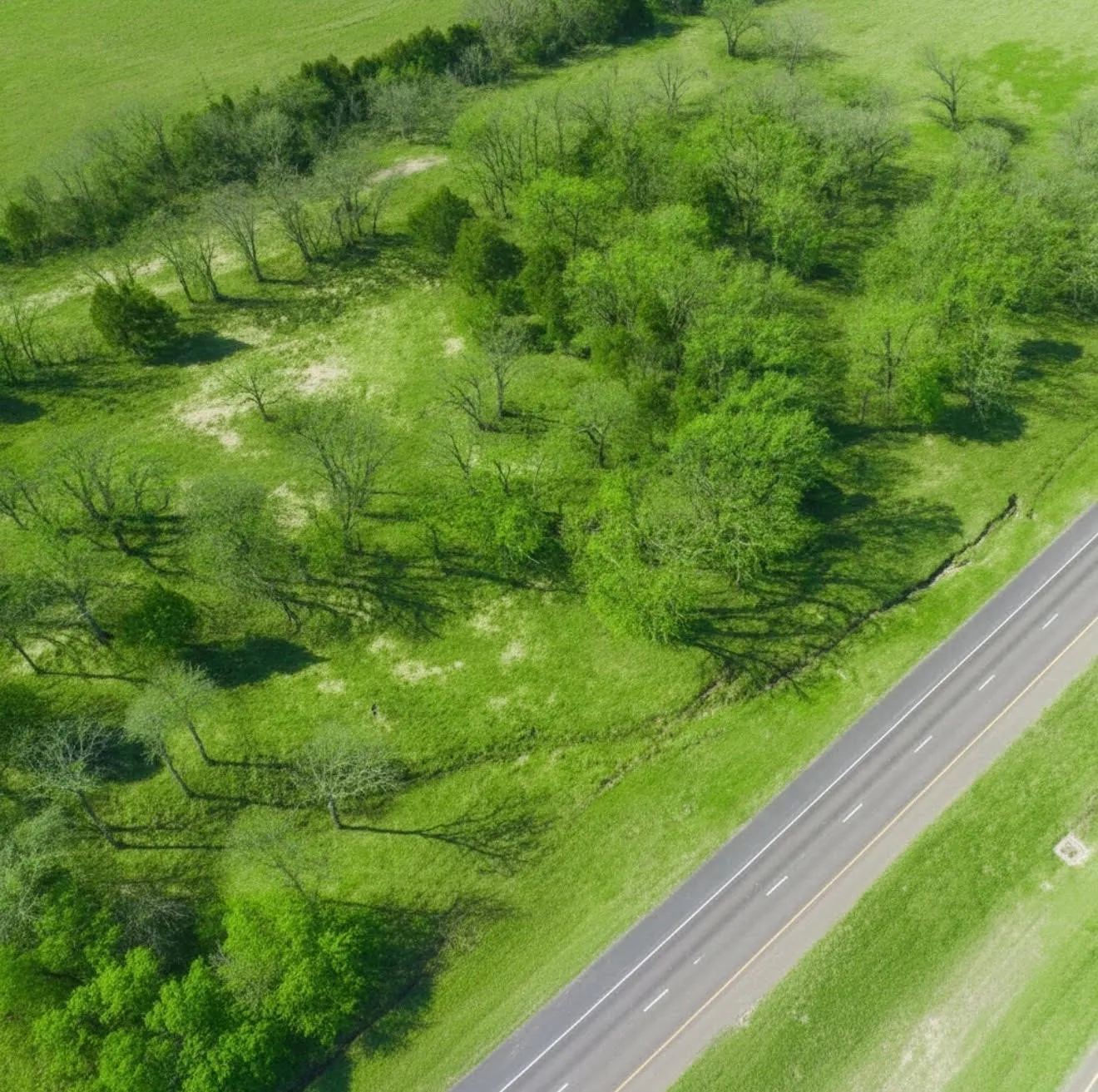 Unimproved Land For Sale in Henderson County , TBD US HWY 175, Mabank, Texas 75147, 0, 0, Garage spaces, 0 Sqft, built in 0, mls#21279960, Real Estate Agent in Mabank, Homes For Sale in Henderson county, Homes For Sale in Mabank, Realtor in Mabank Texas, Real Estate Brokerage Independent Realty Texas, Luminita Cordes Realtor