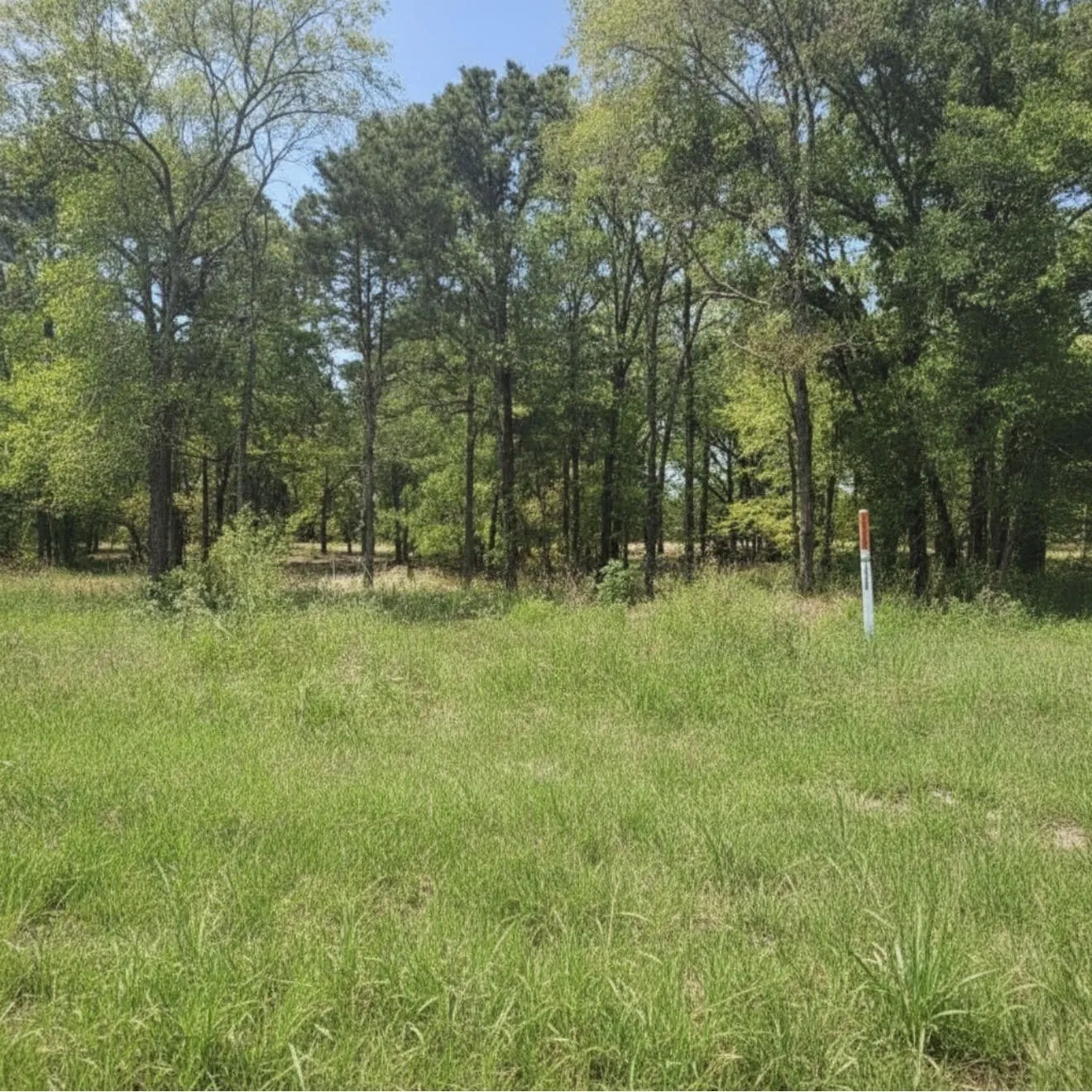 Unimproved Land For Sale in Henderson County , TBD US HWY 175, Mabank, Texas 75147, 0, 0, Garage spaces, 0 Sqft, built in 0, mls#21279960, Real Estate Agent in Mabank, Homes For Sale in Henderson county, Homes For Sale in Mabank, Realtor in Mabank Texas, Real Estate Brokerage Independent Realty Texas, Luminita Cordes Realtor