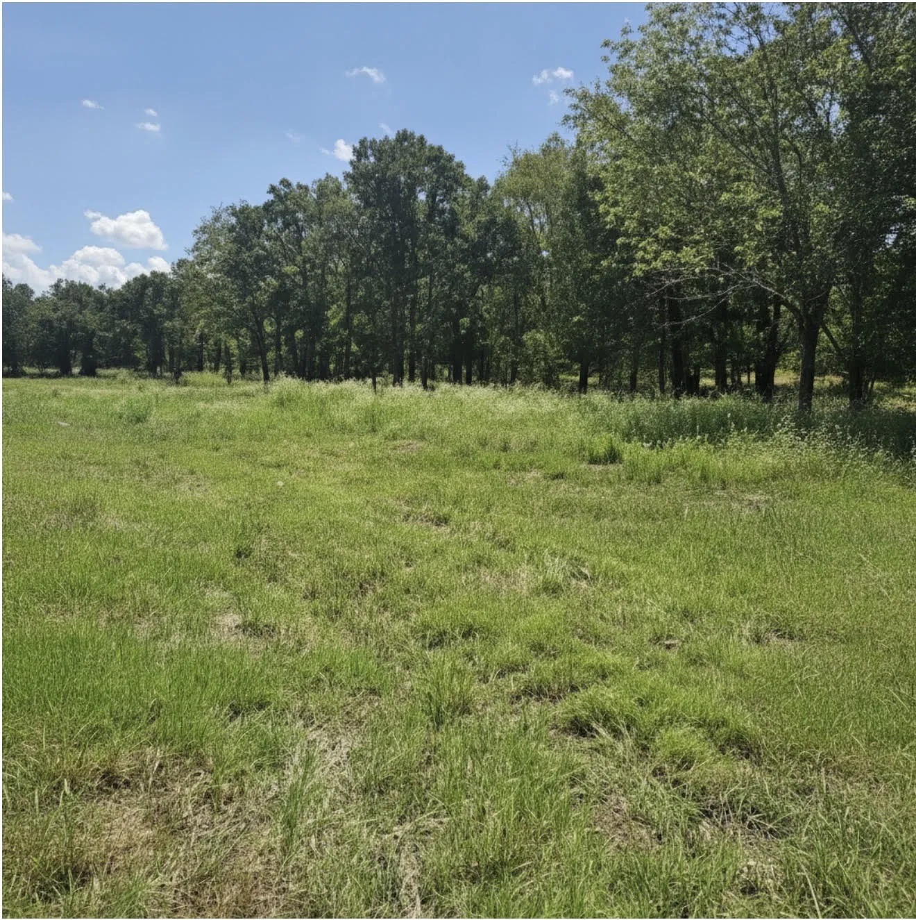 Unimproved Land For Sale in Henderson County , TBD US HWY 175, Mabank, Texas 75147, 0, 0, Garage spaces, 0 Sqft, built in 0, mls#21279960, Real Estate Agent in Mabank, Homes For Sale in Henderson county, Homes For Sale in Mabank, Realtor in Mabank Texas, Real Estate Brokerage Independent Realty Texas, Luminita Cordes Realtor