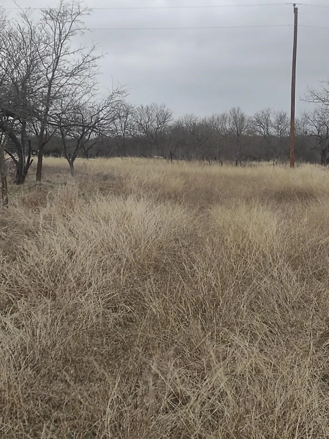 Unimproved Land For Sale in Hill County , 138 PR 226 Road, Whitney, Texas 76692, 0, 0, Garage spaces, 0 Sqft, built in 0, Price $39,900, mls#21307138, Real Estate Agent in Whitney, Homes For Sale in Hill county, Homes For Sale in Whitney, Realtor in Whitney Texas, Real Estate Brokerage Independent Realty Texas, Luminita Cordes Realtor