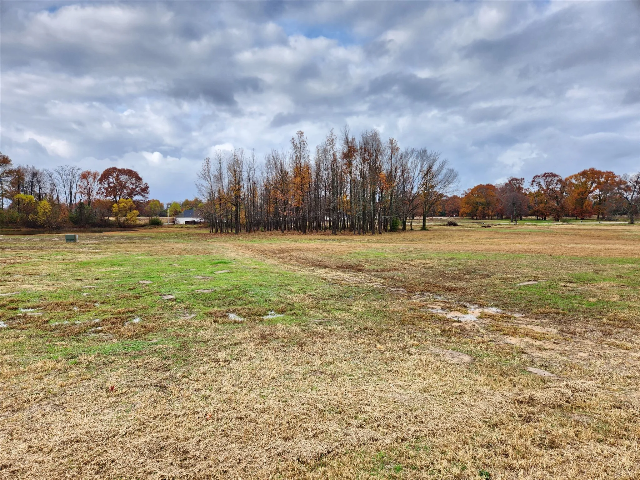 Improved Land For Sale in Wood County , LOT 23 CR 2230, Mineola, Texas 75773, 0, 0, Garage spaces, 0 Sqft, built in 0, Price $169,000, mls#21307248, Real Estate Agent in Mineola, Homes For Sale in Wood county, Homes For Sale in Mineola, Realtor in Mineola Texas, Real Estate Brokerage Independent Realty Texas, Luminita Cordes Realtor