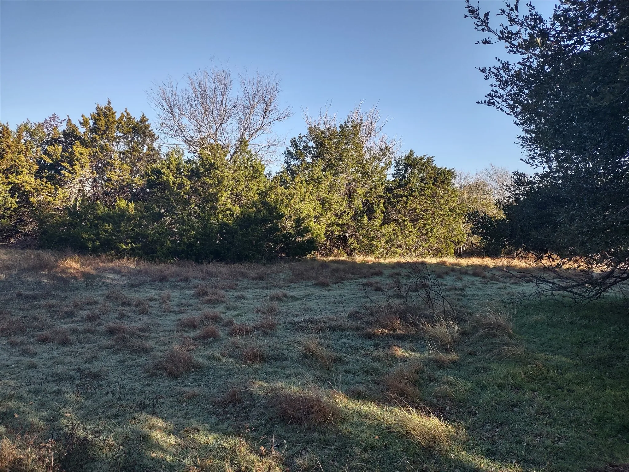 Unimproved Land For Sale in Hill County , 37024 Woodacre Loop, Whitney, Texas 76692, 0, 0, Garage spaces, 0 Sqft, built in 0, Price $4,995, mls#21307198, Real Estate Agent in Whitney, Homes For Sale in Hill county, Homes For Sale in Whitney, Realtor in Whitney Texas, Real Estate Brokerage Independent Realty Texas, Luminita Cordes Realtor