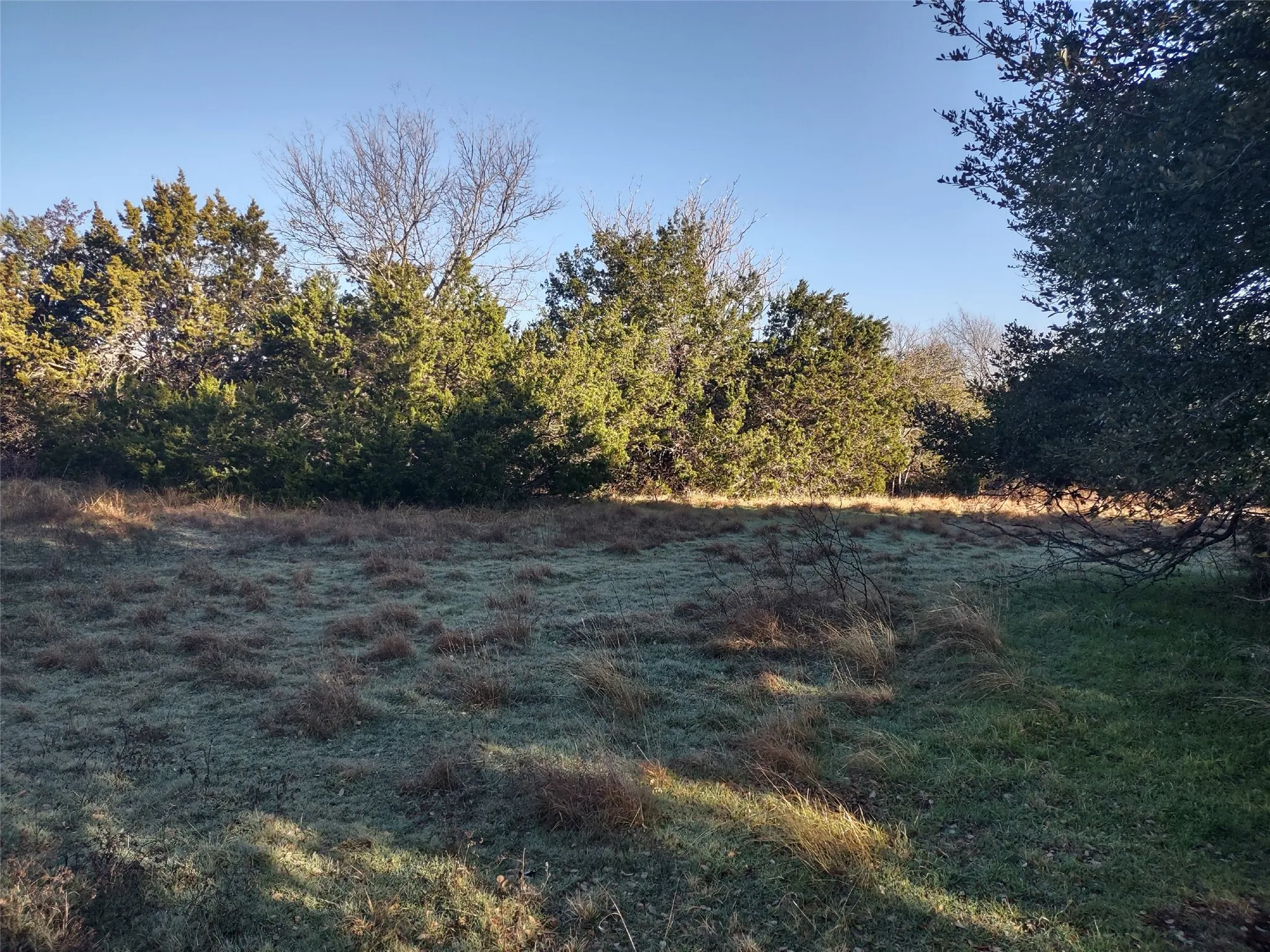 Unimproved Land For Sale in Hill County , 37024 Woodacre Loop, Whitney, Texas 76692, 0, 0, Garage spaces, 0 Sqft, built in 0, Price $4,995, mls#21307198, Real Estate Agent in Whitney, Homes For Sale in Hill county, Homes For Sale in Whitney, Realtor in Whitney Texas, Real Estate Brokerage Independent Realty Texas, Luminita Cordes Realtor