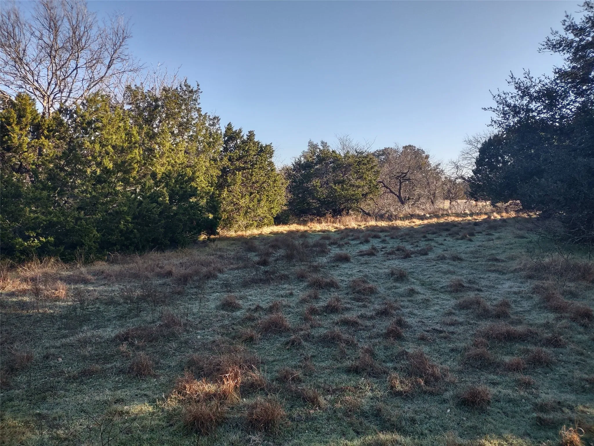 Unimproved Land For Sale in Hill County , 37024 Woodacre Loop, Whitney, Texas 76692, 0, 0, Garage spaces, 0 Sqft, built in 0, Price $4,995, mls#21307198, Real Estate Agent in Whitney, Homes For Sale in Hill county, Homes For Sale in Whitney, Realtor in Whitney Texas, Real Estate Brokerage Independent Realty Texas, Luminita Cordes Realtor