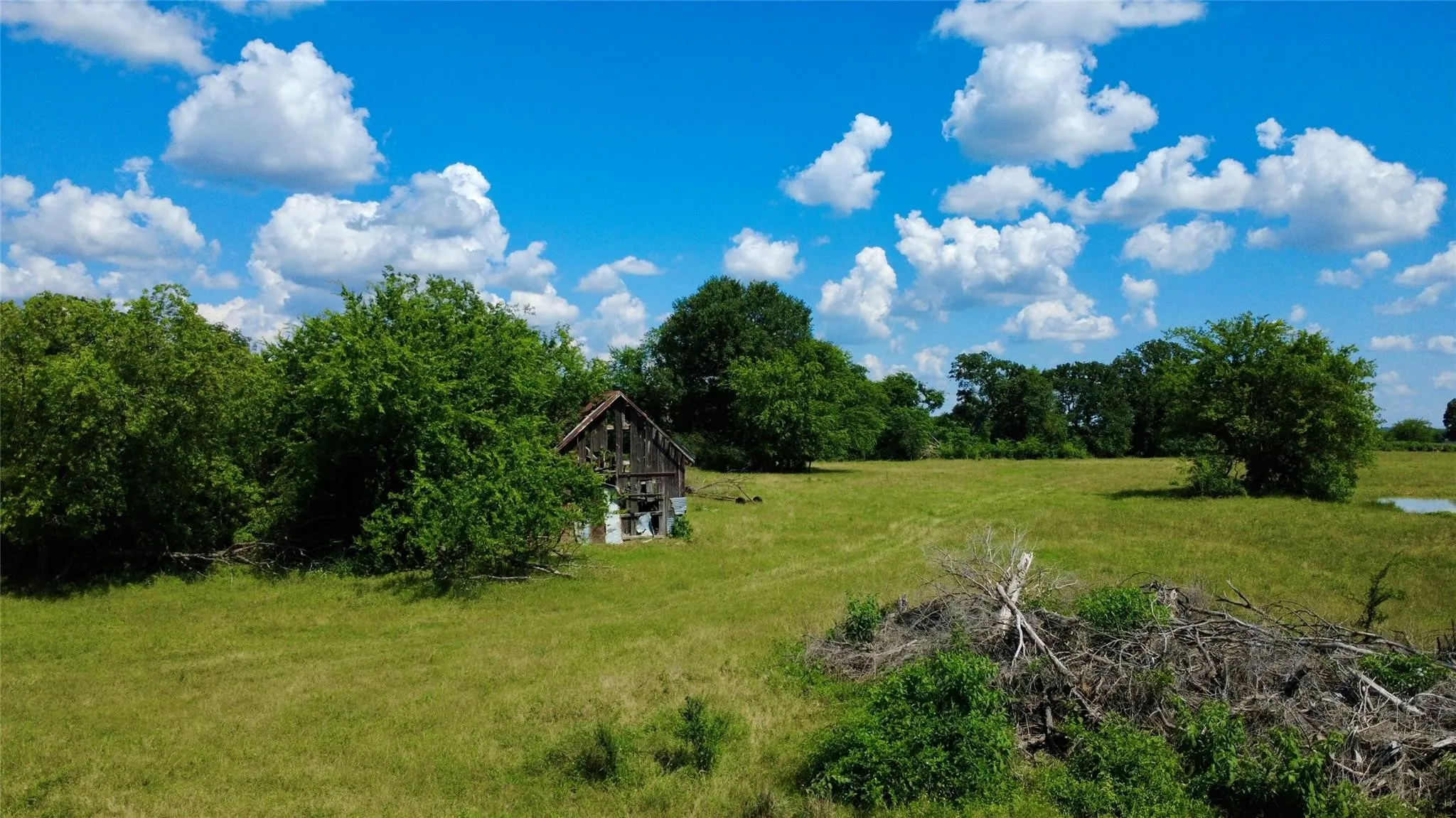 Unimproved Land For Sale in Hopkins County , 1250 Shannon Road W, Sulphur Springs, Texas 75482, 0, 0, Garage spaces, 0 Sqft, built in 1967, mls#21307324, Real Estate Agent in Sulphur Springs, Homes For Sale in Hopkins county, Homes For Sale in Sulphur Springs, Realtor in Sulphur Springs Texas, Real Estate Brokerage Independent Realty Texas, Luminita Cordes Realtor