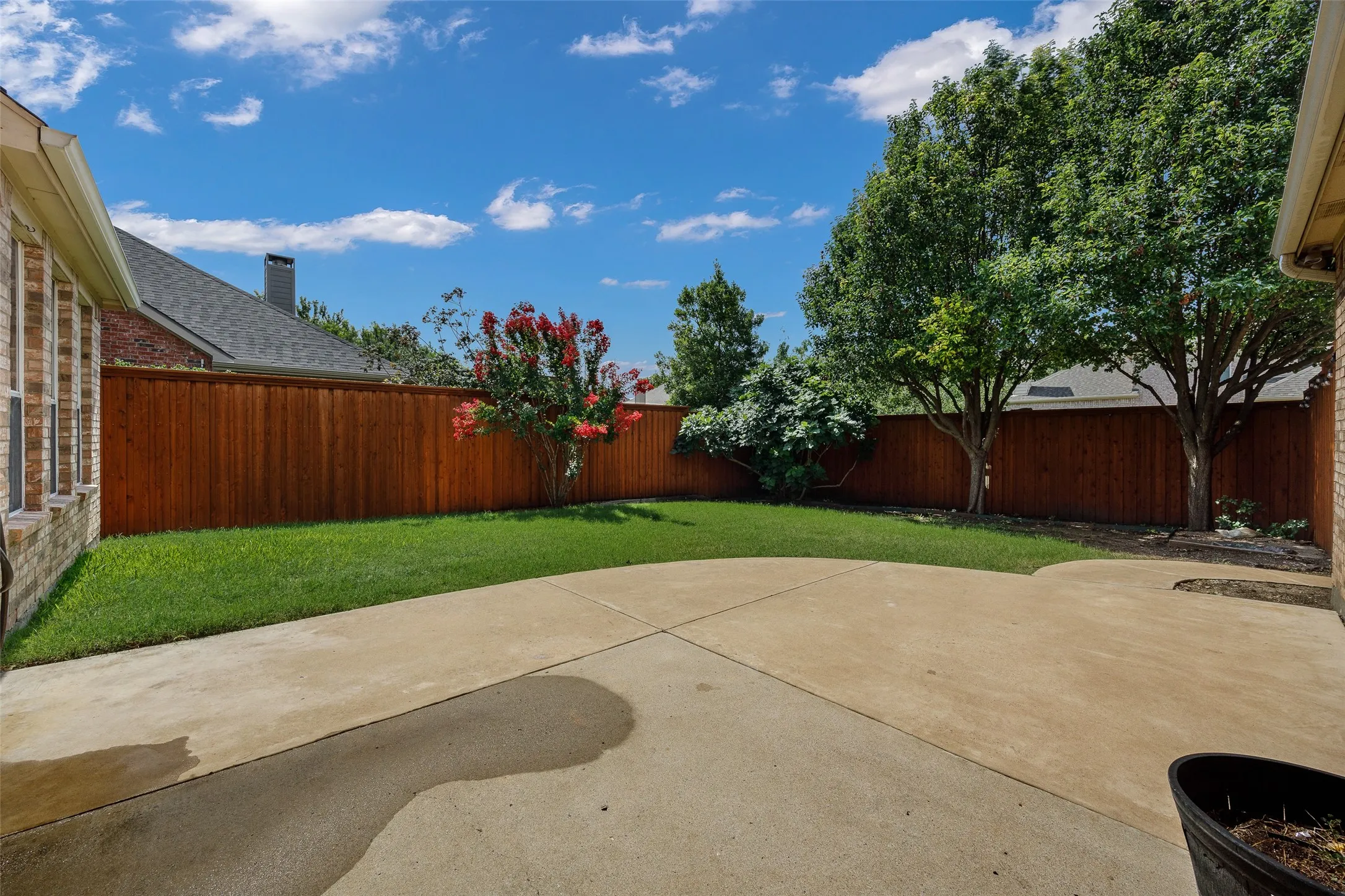 Backyard