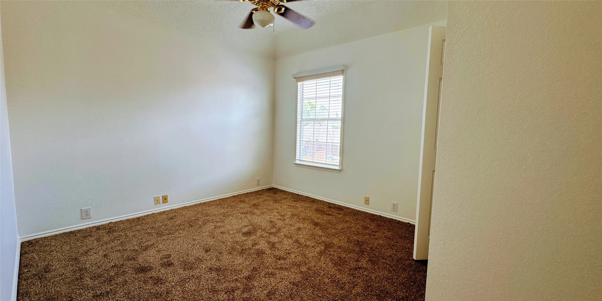 New carpet