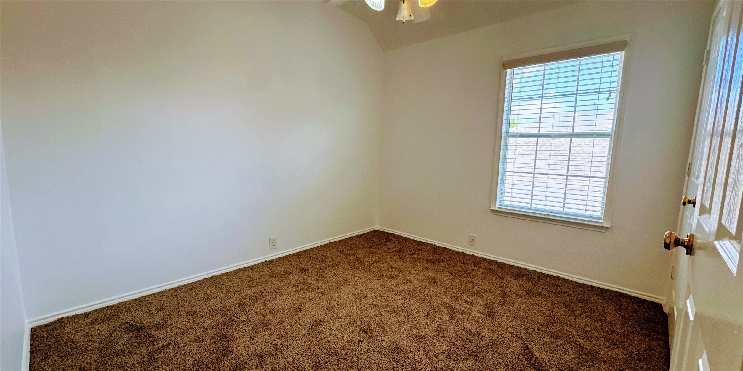 New carpet