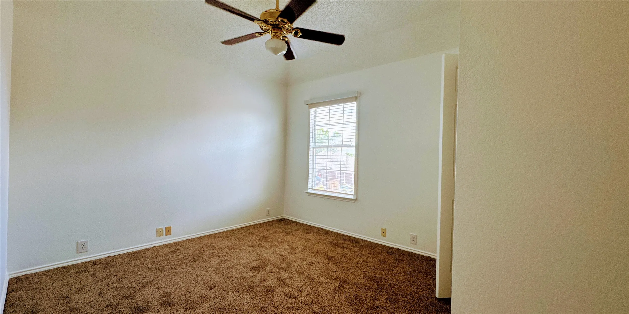 New carpet