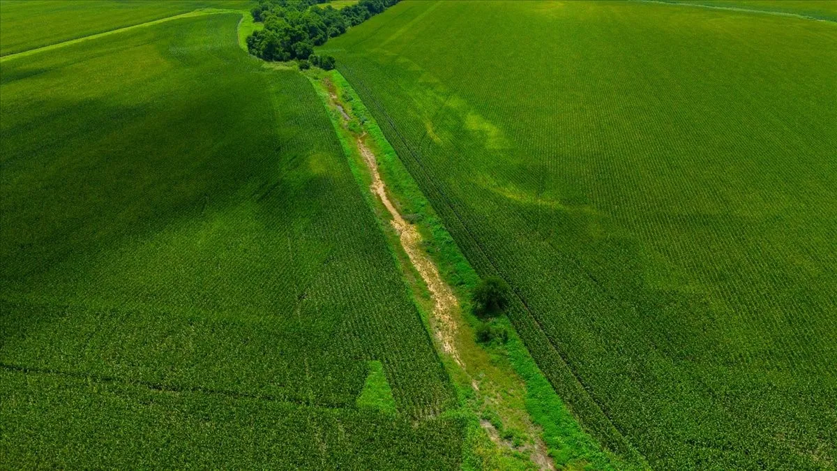 Unimproved Land For Sale in Hill County , TBD HCR 3214 TBD HCR 3214, Bynum, Texas 76631, 0, 0, Garage spaces, 0 Sqft, built in 0, mls#21307357, Real Estate Agent in Bynum, Homes For Sale in Hill county, Homes For Sale in Bynum, Realtor in Bynum Texas, Real Estate Brokerage Independent Realty Texas, Luminita Cordes Realtor