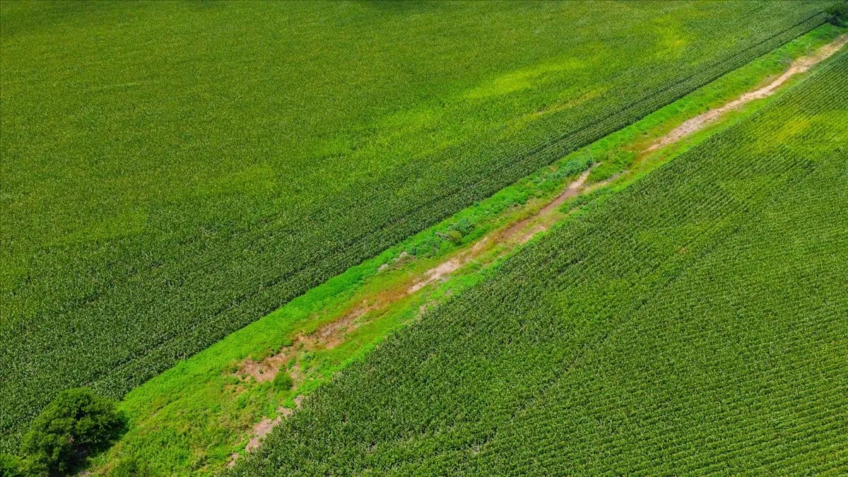 Unimproved Land For Sale in Hill County , TBD HCR 3214 TBD HCR 3214, Bynum, Texas 76631, 0, 0, Garage spaces, 0 Sqft, built in 0, mls#21307357, Real Estate Agent in Bynum, Homes For Sale in Hill county, Homes For Sale in Bynum, Realtor in Bynum Texas, Real Estate Brokerage Independent Realty Texas, Luminita Cordes Realtor