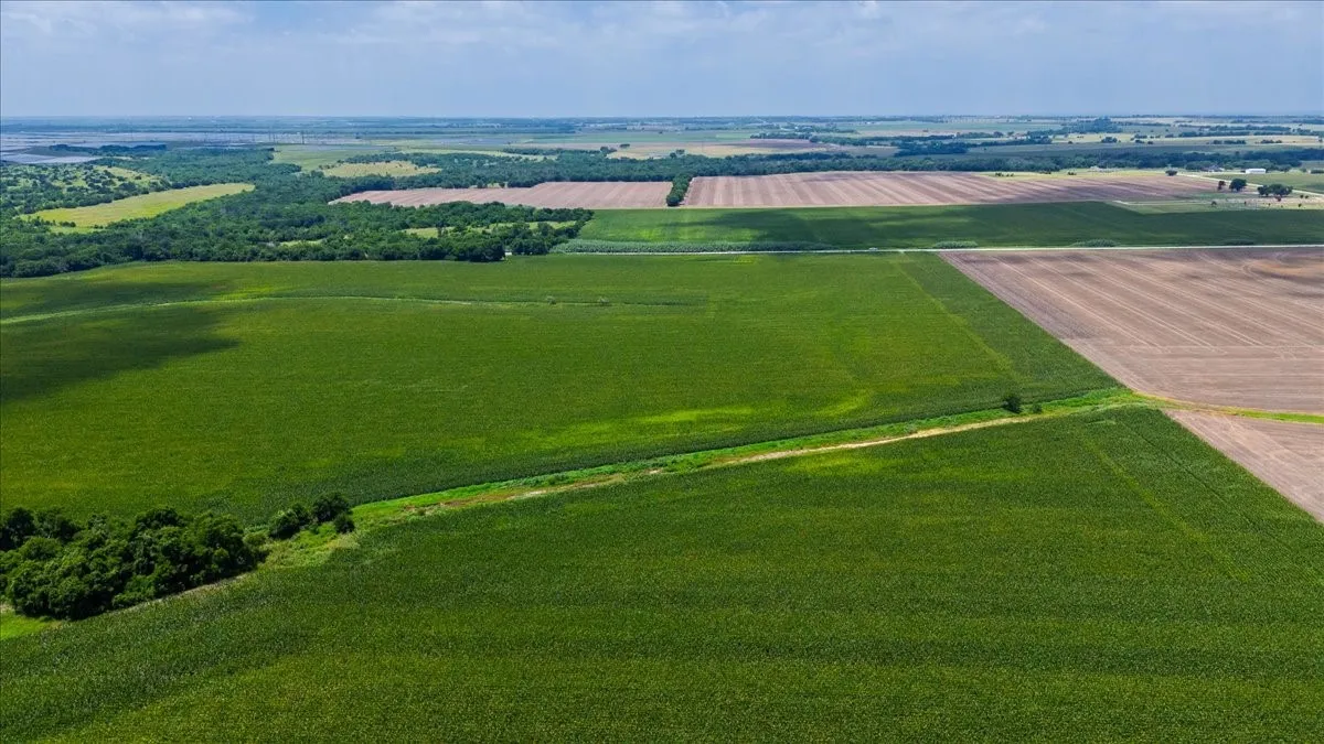 Unimproved Land For Sale in Hill County , TBD HCR 3214 TBD HCR 3214, Bynum, Texas 76631, 0, 0, Garage spaces, 0 Sqft, built in 0, mls#21307357, Real Estate Agent in Bynum, Homes For Sale in Hill county, Homes For Sale in Bynum, Realtor in Bynum Texas, Real Estate Brokerage Independent Realty Texas, Luminita Cordes Realtor