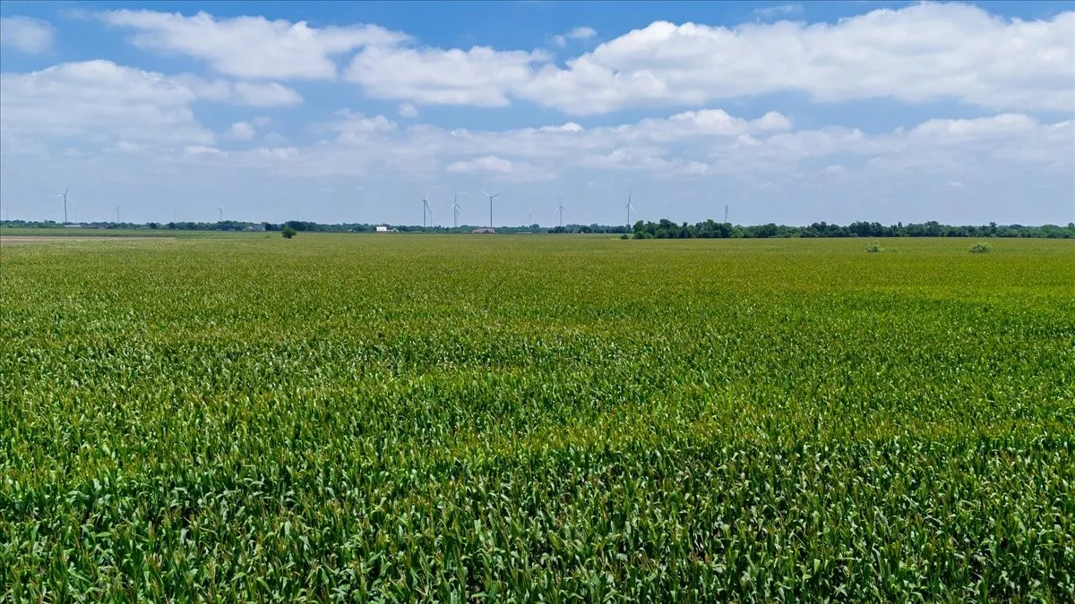 Unimproved Land For Sale in Hill County , TBD HCR 3214 TBD HCR 3214, Bynum, Texas 76631, 0, 0, Garage spaces, 0 Sqft, built in 0, mls#21307357, Real Estate Agent in Bynum, Homes For Sale in Hill county, Homes For Sale in Bynum, Realtor in Bynum Texas, Real Estate Brokerage Independent Realty Texas, Luminita Cordes Realtor