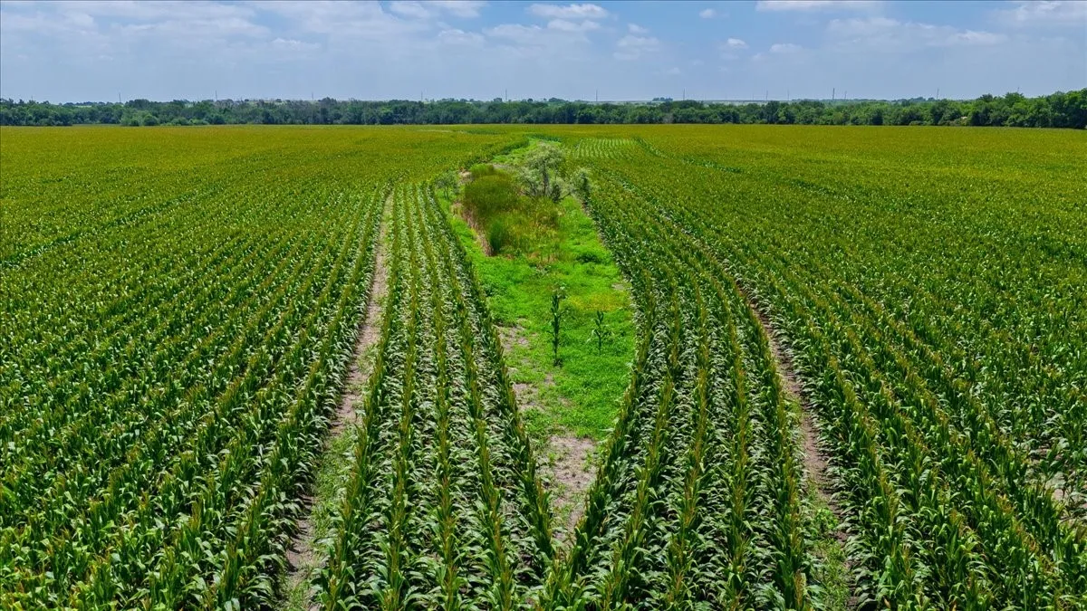 Unimproved Land For Sale in Hill County , TBD HCR 3214 TBD HCR 3214, Bynum, Texas 76631, 0, 0, Garage spaces, 0 Sqft, built in 0, mls#21307357, Real Estate Agent in Bynum, Homes For Sale in Hill county, Homes For Sale in Bynum, Realtor in Bynum Texas, Real Estate Brokerage Independent Realty Texas, Luminita Cordes Realtor