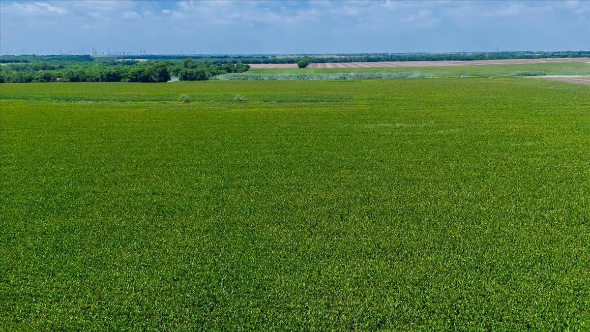Unimproved Land For Sale in Hill County , TBD HCR 3214 TBD HCR 3214, Bynum, Texas 76631, 0, 0, Garage spaces, 0 Sqft, built in 0, mls#21307357, Real Estate Agent in Bynum, Homes For Sale in Hill county, Homes For Sale in Bynum, Realtor in Bynum Texas, Real Estate Brokerage Independent Realty Texas, Luminita Cordes Realtor