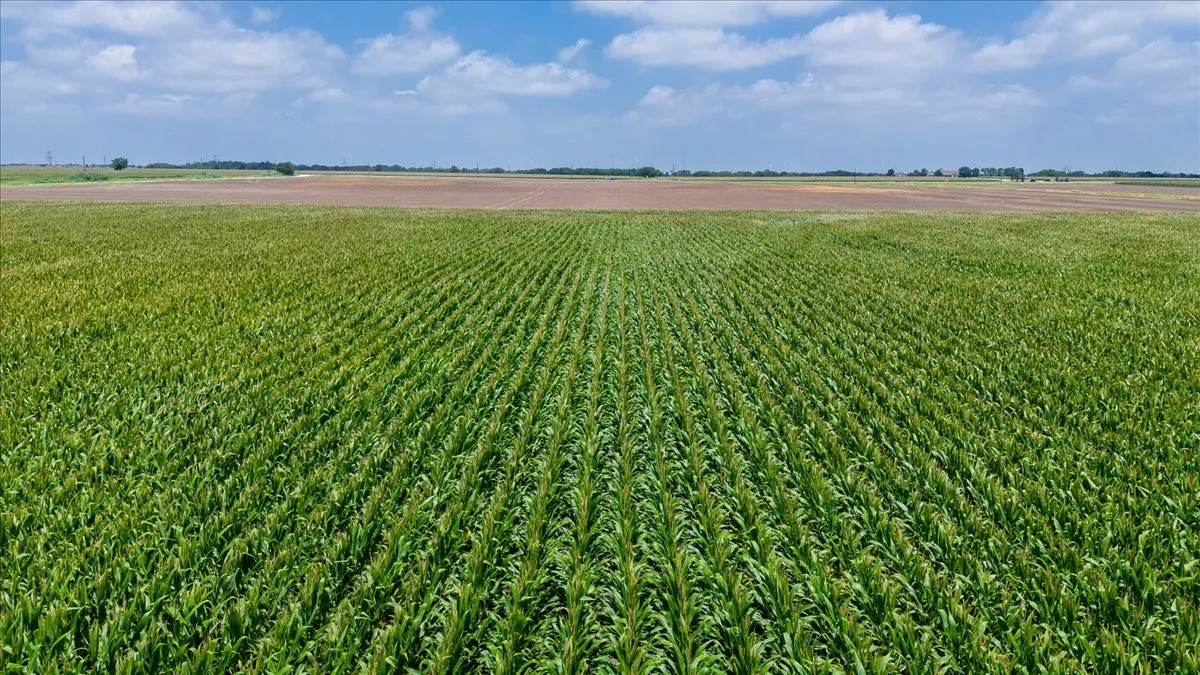 Unimproved Land For Sale in Hill County , TBD HCR 3214 TBD HCR 3214, Bynum, Texas 76631, 0, 0, Garage spaces, 0 Sqft, built in 0, mls#21307357, Real Estate Agent in Bynum, Homes For Sale in Hill county, Homes For Sale in Bynum, Realtor in Bynum Texas, Real Estate Brokerage Independent Realty Texas, Luminita Cordes Realtor
