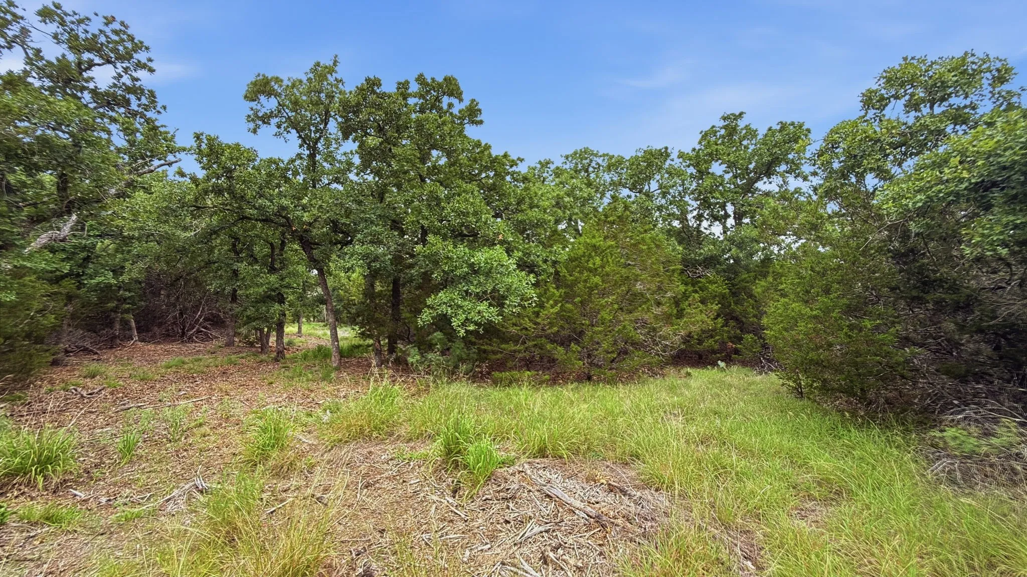 Unimproved Land For Sale in Hamilton County , Lot 97 Ph 6 PR 42101, Evant, Texas 76525, 0, 0, Garage spaces, 0 Sqft, built in 0, Price $93,093, mls#21302902, Real Estate Agent in Evant, Homes For Sale in Hamilton county, Homes For Sale in Evant, Realtor in Evant Texas, Real Estate Brokerage Independent Realty Texas, Luminita Cordes Realtor