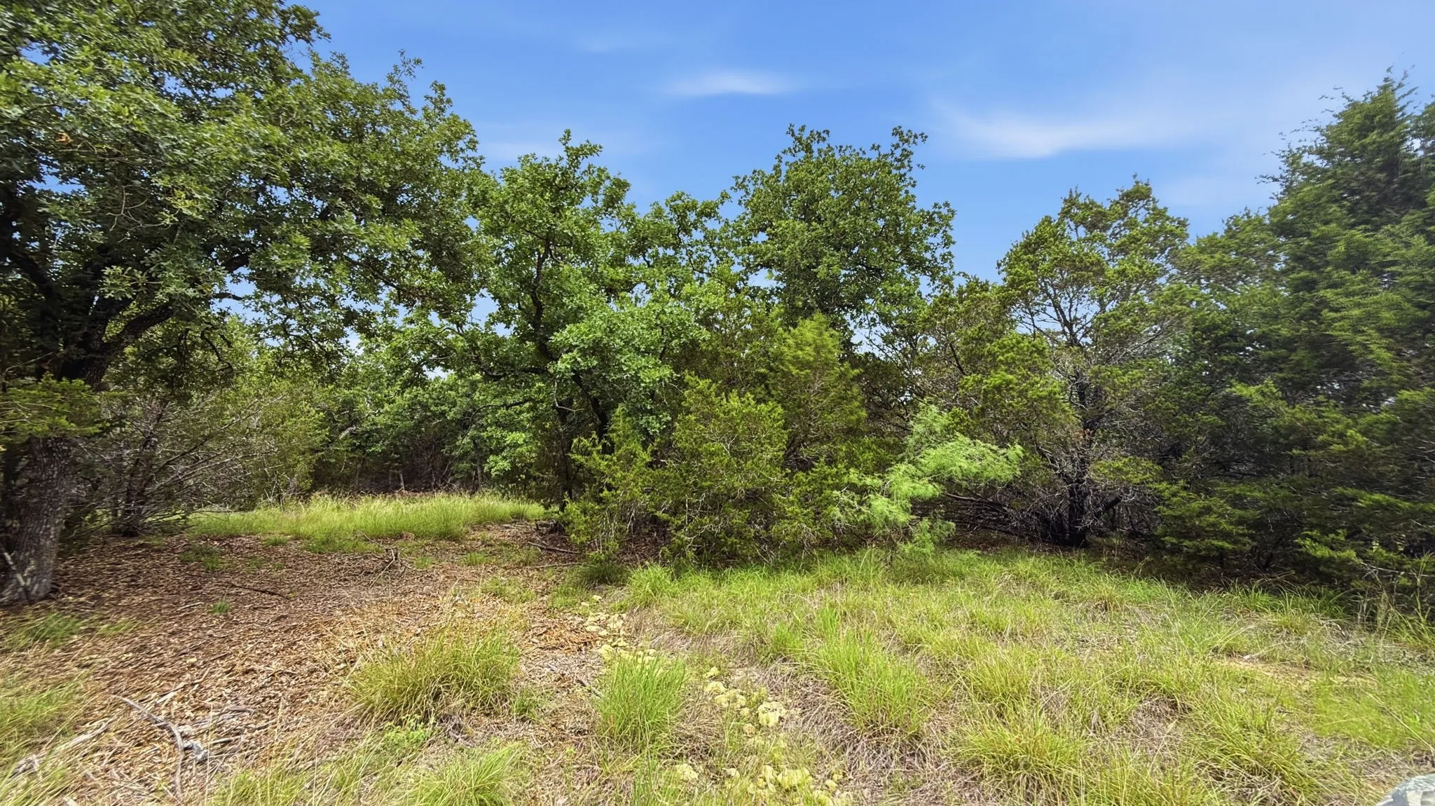 Unimproved Land For Sale in Hamilton County , Lot 97 Ph 6 PR 42101, Evant, Texas 76525, 0, 0, Garage spaces, 0 Sqft, built in 0, Price $93,093, mls#21302902, Real Estate Agent in Evant, Homes For Sale in Hamilton county, Homes For Sale in Evant, Realtor in Evant Texas, Real Estate Brokerage Independent Realty Texas, Luminita Cordes Realtor