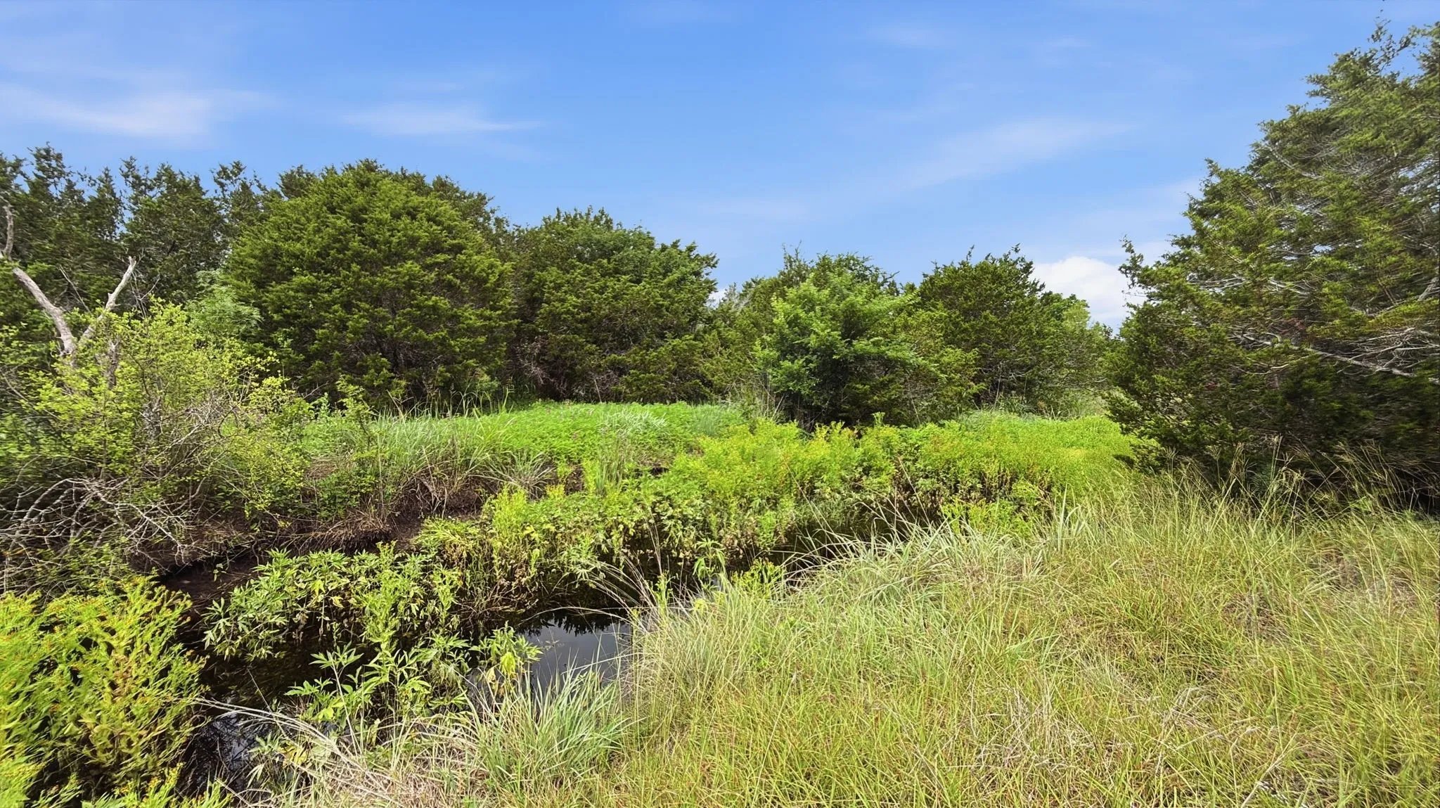 Unimproved Land For Sale in Hamilton County , Lot 97 Ph 6 PR 42101, Evant, Texas 76525, 0, 0, Garage spaces, 0 Sqft, built in 0, Price $93,093, mls#21302902, Real Estate Agent in Evant, Homes For Sale in Hamilton county, Homes For Sale in Evant, Realtor in Evant Texas, Real Estate Brokerage Independent Realty Texas, Luminita Cordes Realtor
