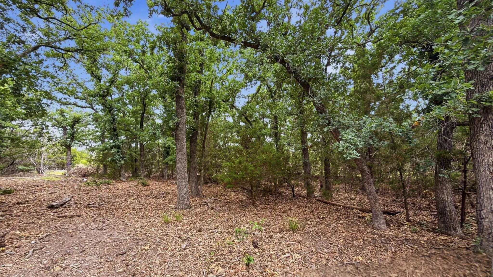 Unimproved Land For Sale in Hamilton County , Lot 97 Ph 6 PR 42101, Evant, Texas 76525, 0, 0, Garage spaces, 0 Sqft, built in 0, Price $93,093, mls#21302902, Real Estate Agent in Evant, Homes For Sale in Hamilton county, Homes For Sale in Evant, Realtor in Evant Texas, Real Estate Brokerage Independent Realty Texas, Luminita Cordes Realtor