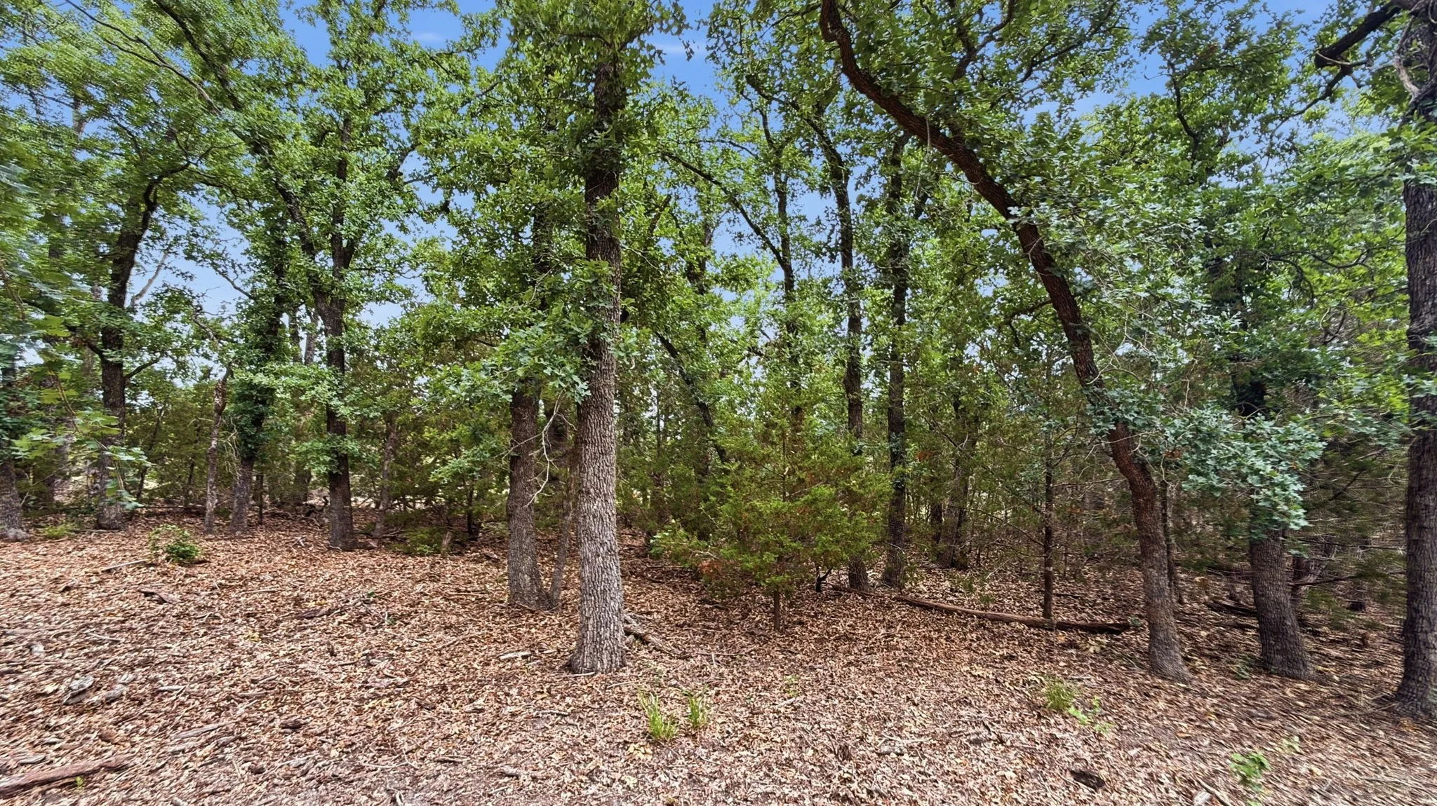 Unimproved Land For Sale in Hamilton County , Lot 97 Ph 6 PR 42101, Evant, Texas 76525, 0, 0, Garage spaces, 0 Sqft, built in 0, Price $93,093, mls#21302902, Real Estate Agent in Evant, Homes For Sale in Hamilton county, Homes For Sale in Evant, Realtor in Evant Texas, Real Estate Brokerage Independent Realty Texas, Luminita Cordes Realtor