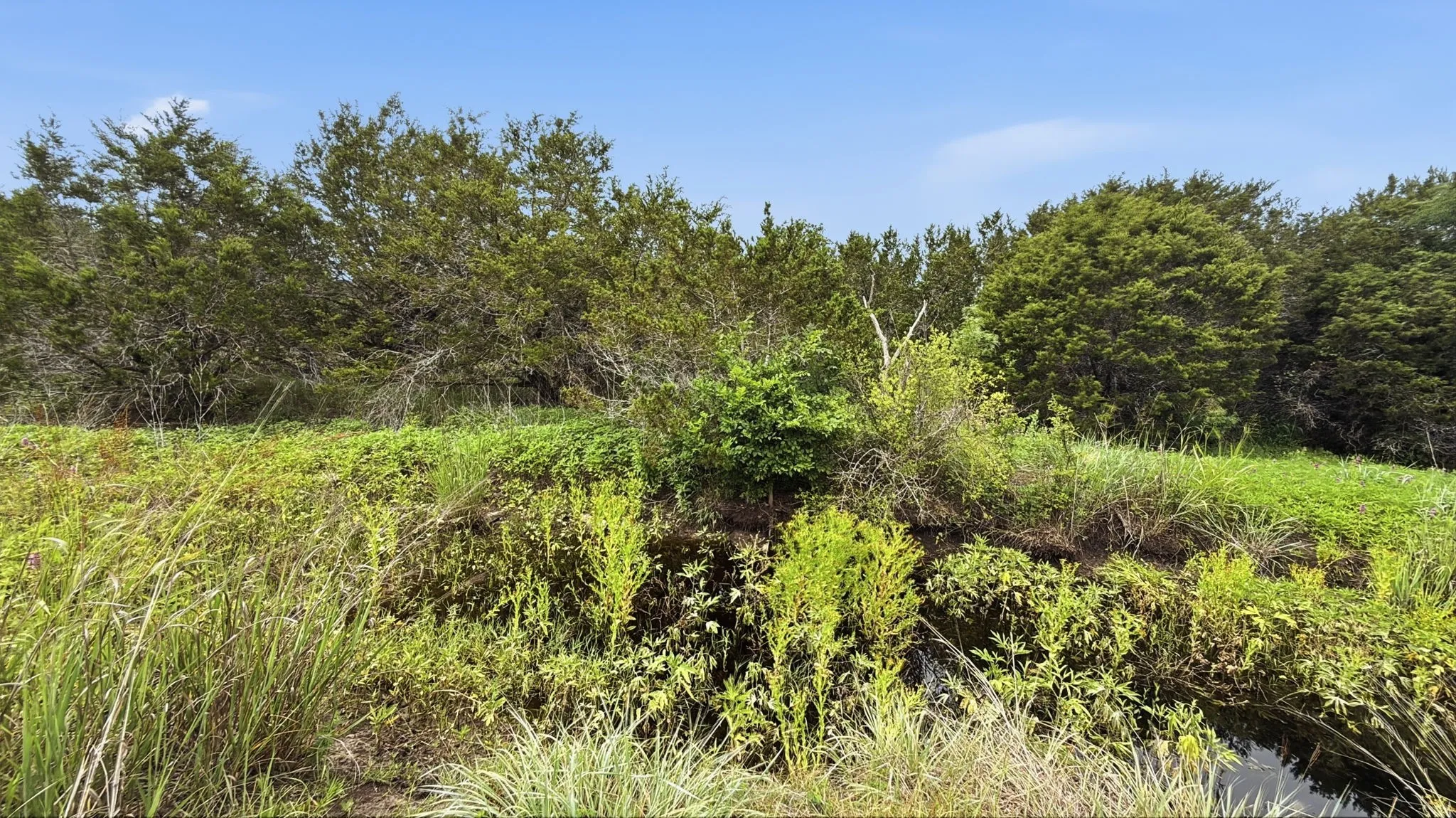 Unimproved Land For Sale in Hamilton County , Lot 97 Ph 6 PR 42101, Evant, Texas 76525, 0, 0, Garage spaces, 0 Sqft, built in 0, Price $93,093, mls#21302902, Real Estate Agent in Evant, Homes For Sale in Hamilton county, Homes For Sale in Evant, Realtor in Evant Texas, Real Estate Brokerage Independent Realty Texas, Luminita Cordes Realtor