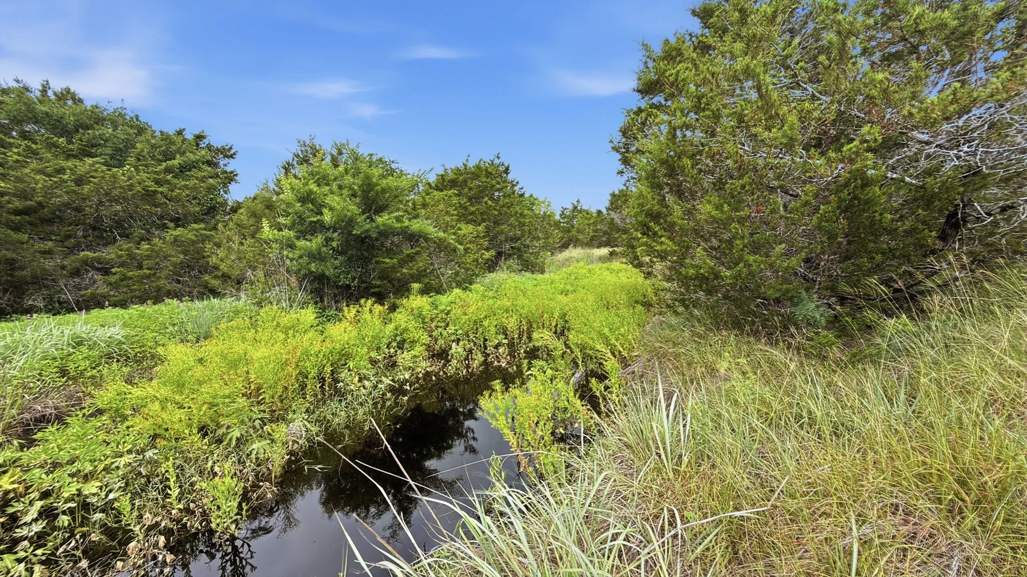Unimproved Land For Sale in Hamilton County , Lot 97 Ph 6 PR 42101, Evant, Texas 76525, 0, 0, Garage spaces, 0 Sqft, built in 0, Price $93,093, mls#21302902, Real Estate Agent in Evant, Homes For Sale in Hamilton county, Homes For Sale in Evant, Realtor in Evant Texas, Real Estate Brokerage Independent Realty Texas, Luminita Cordes Realtor