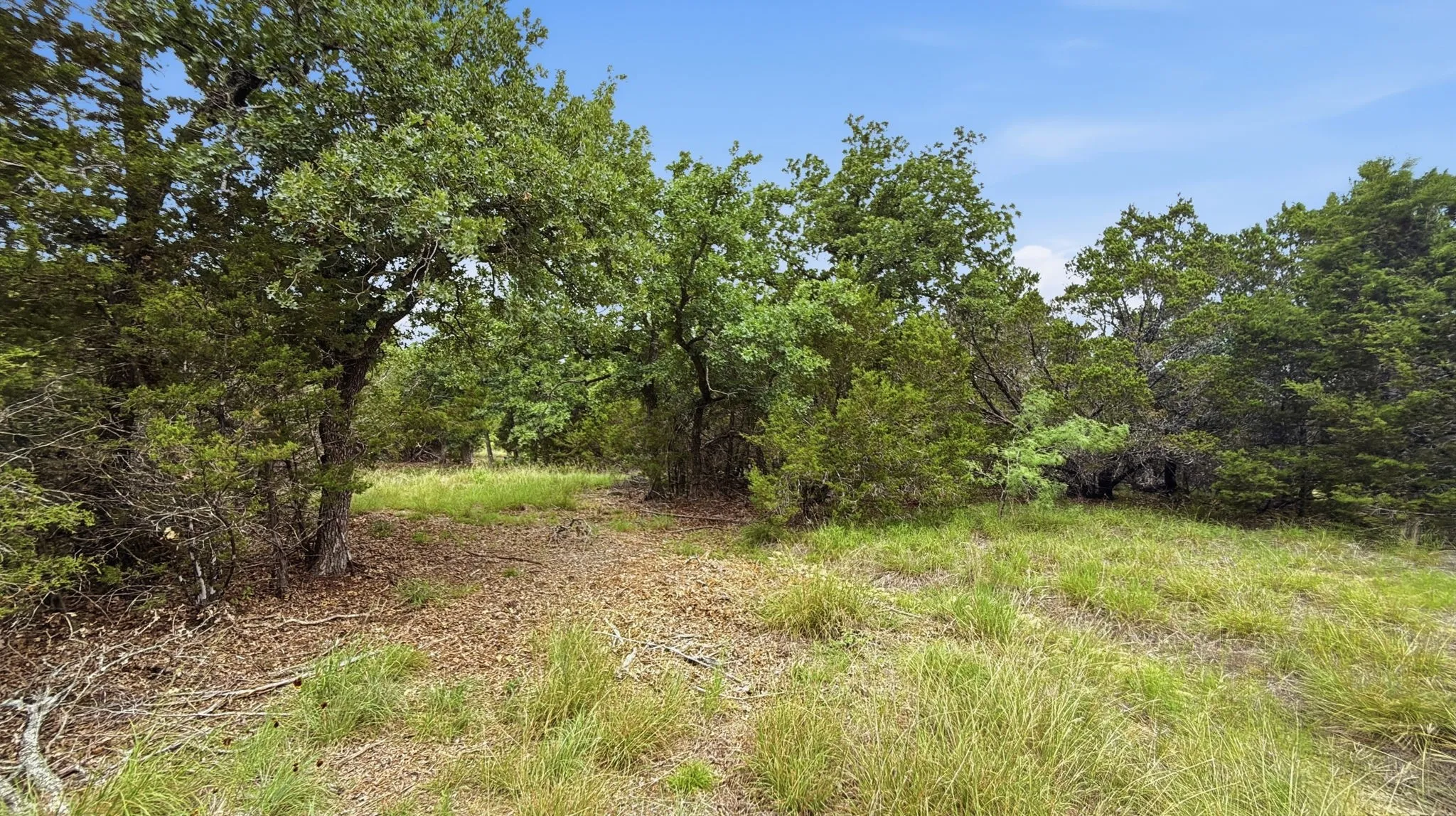 Unimproved Land For Sale in Hamilton County , Lot 97 Ph 6 PR 42101, Evant, Texas 76525, 0, 0, Garage spaces, 0 Sqft, built in 0, Price $93,093, mls#21302902, Real Estate Agent in Evant, Homes For Sale in Hamilton county, Homes For Sale in Evant, Realtor in Evant Texas, Real Estate Brokerage Independent Realty Texas, Luminita Cordes Realtor